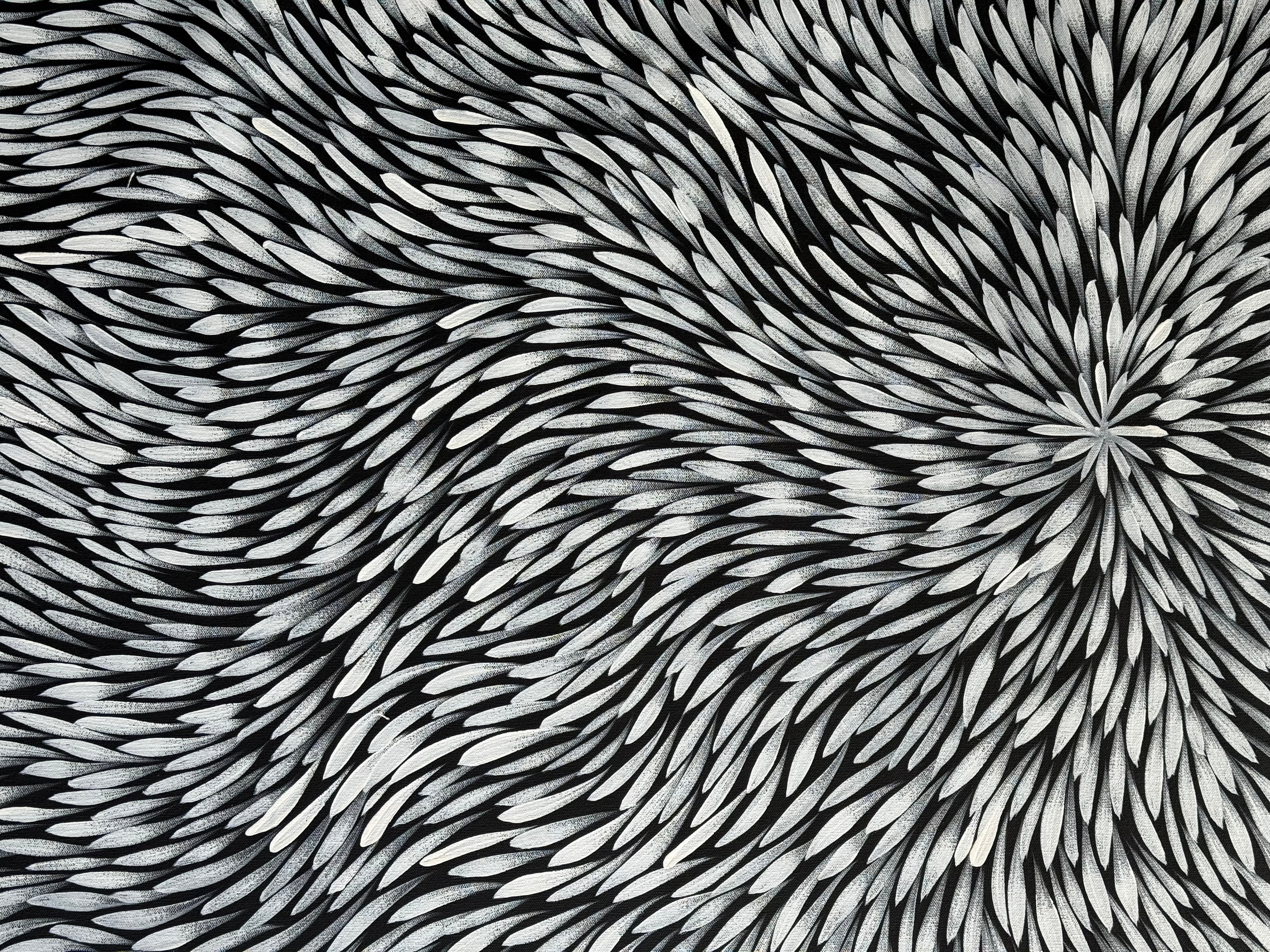 Sharon Numina - Bush Medicine Leaves .95-8