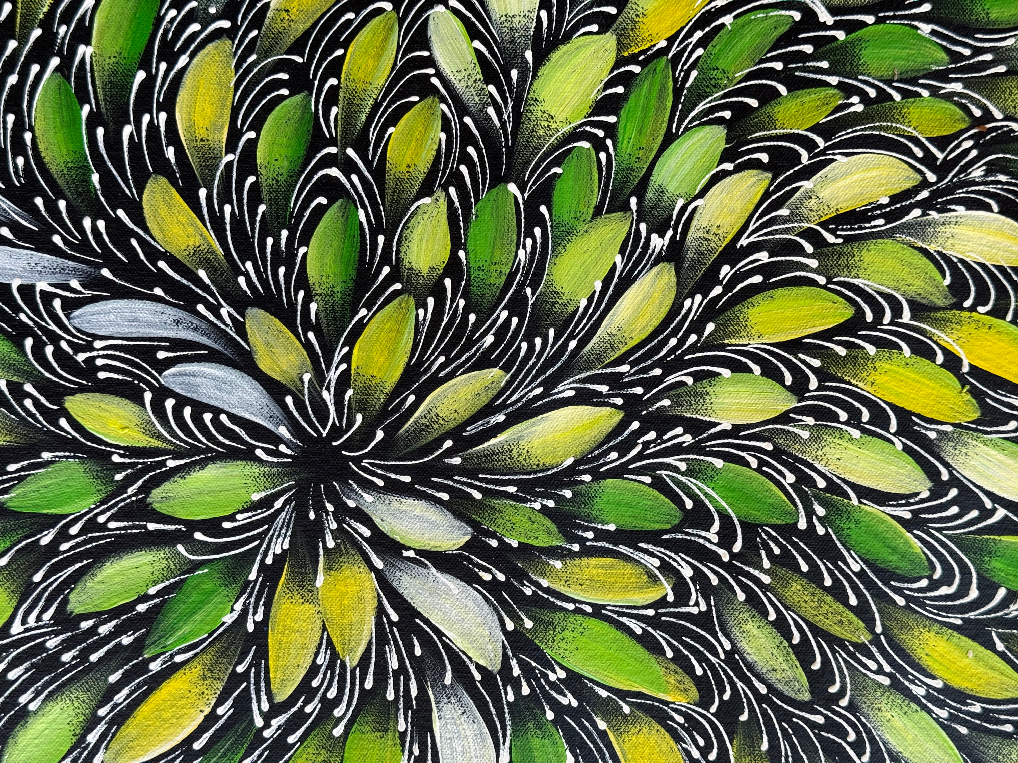 Selina Numina Kamprina - Bush Medicine Leaves .92-14