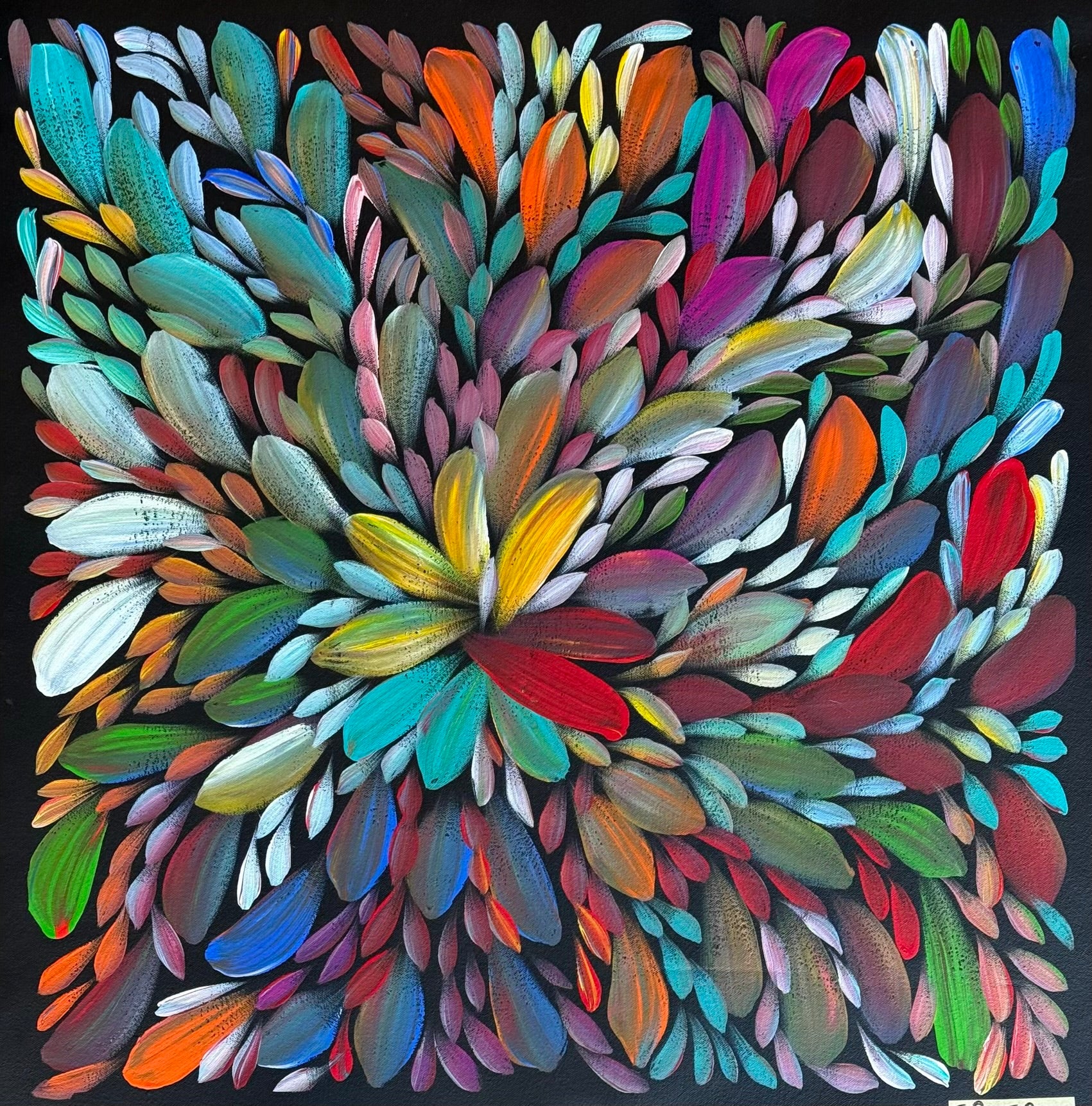 Louise Numina Napananka - Bush Medicine Leaves .49-19