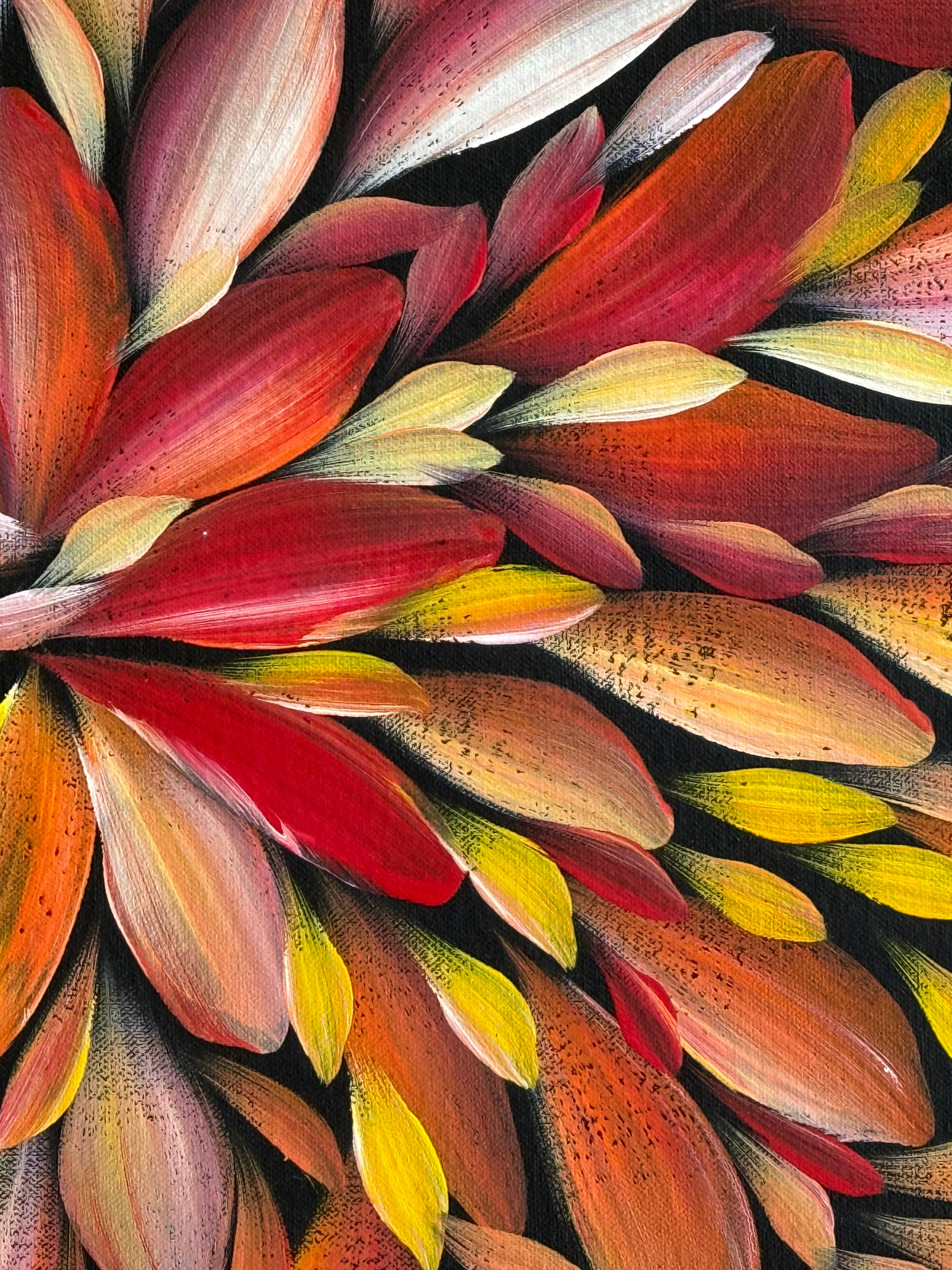 Louise Numina Napananka - Bush Medicine Leaves .75-19