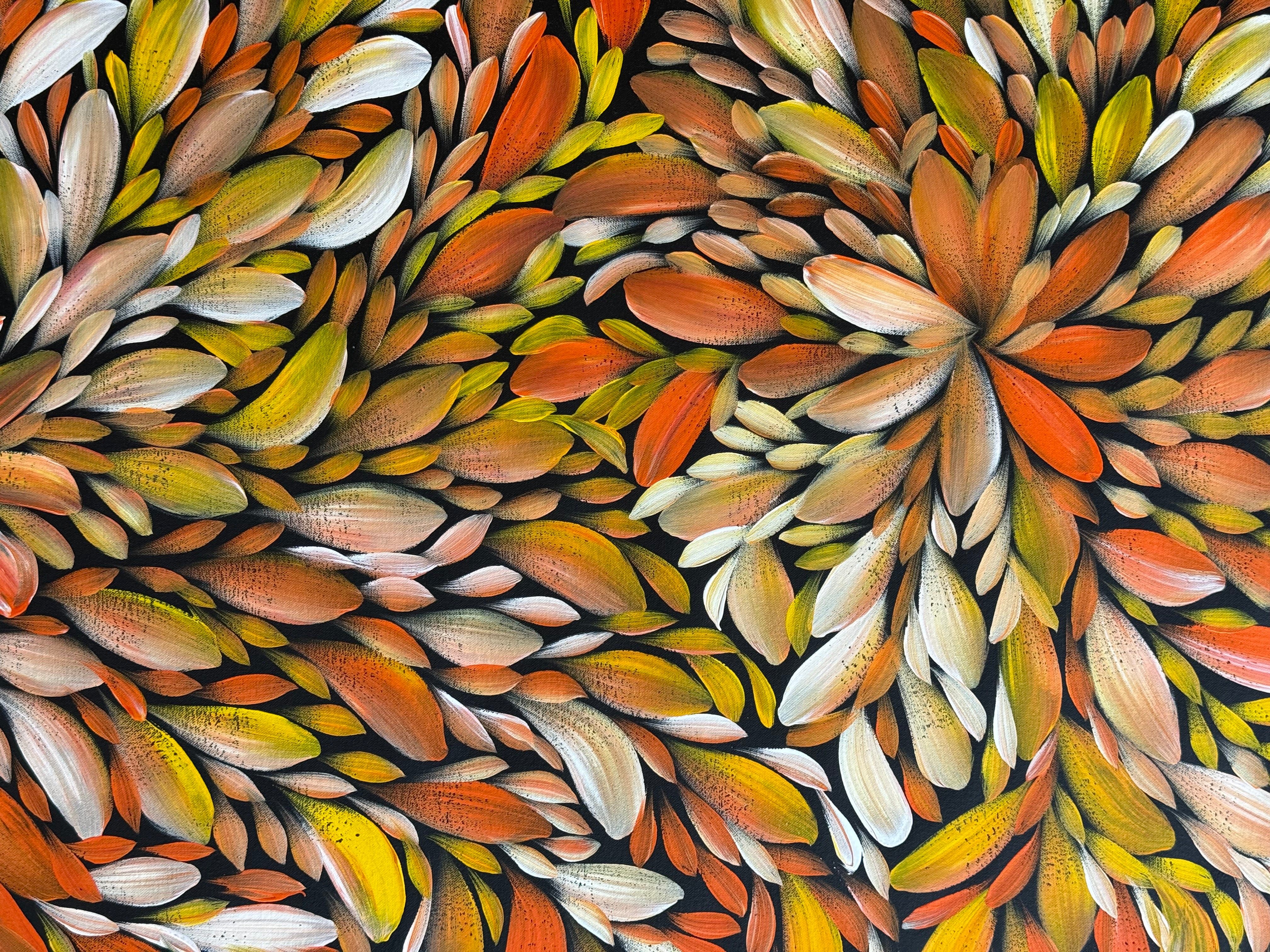 Louise Numina Napananka - Bush Medicine Leaves .57-58