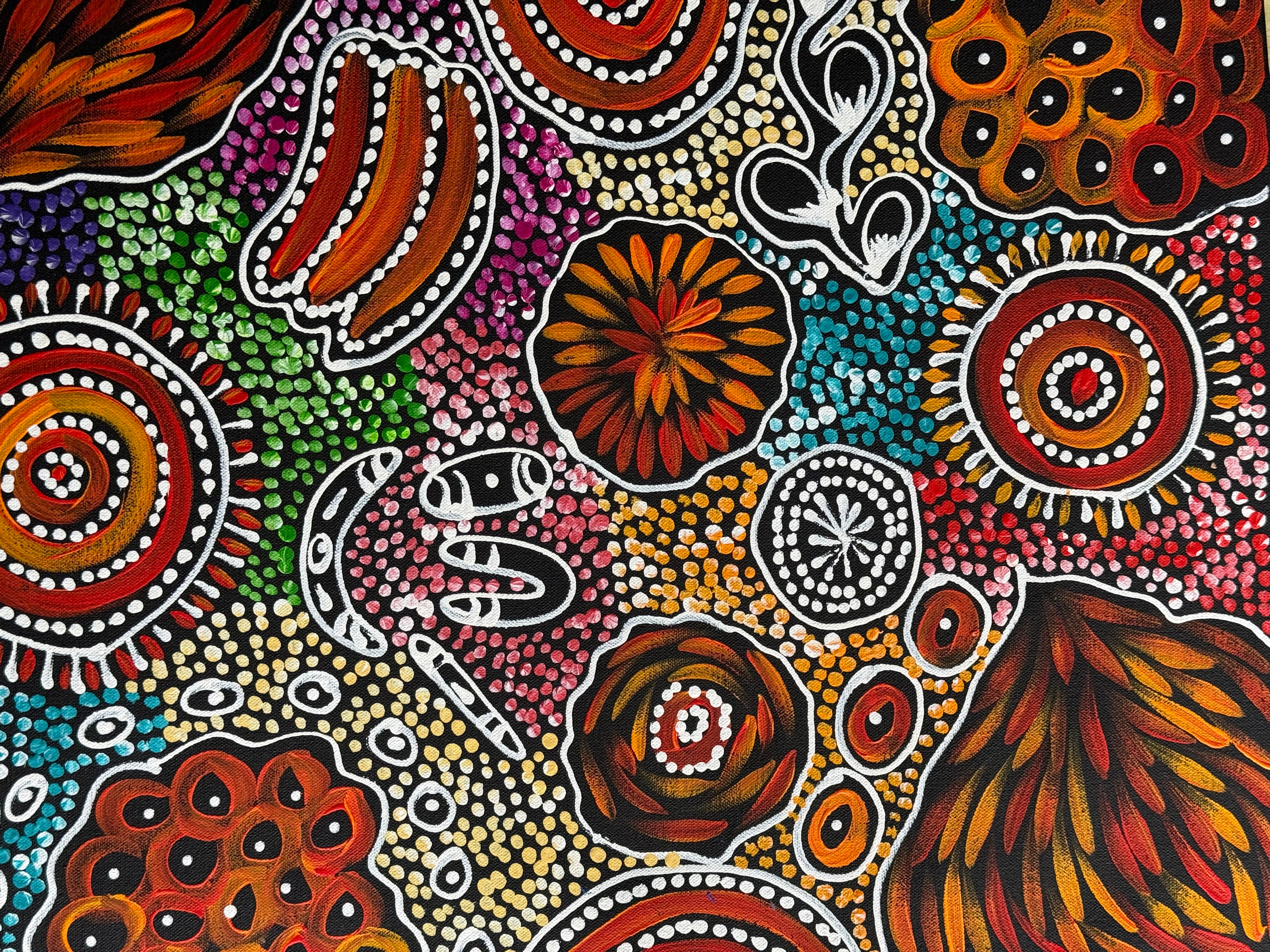 Sharon Numina - My Country Dreaming .95-12