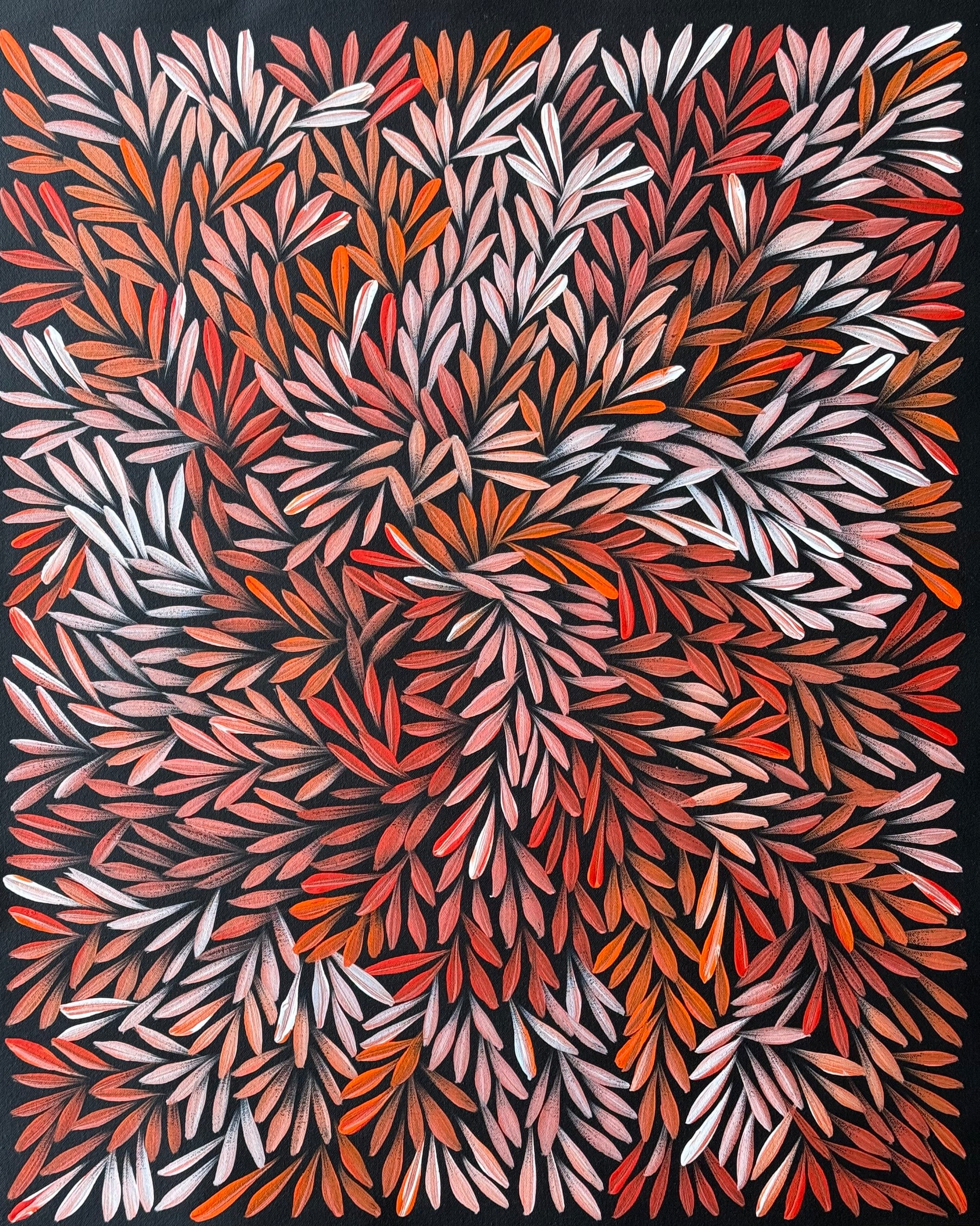 Sharon Numina - Bush Medicine Leaves - 64x52cm .02-24