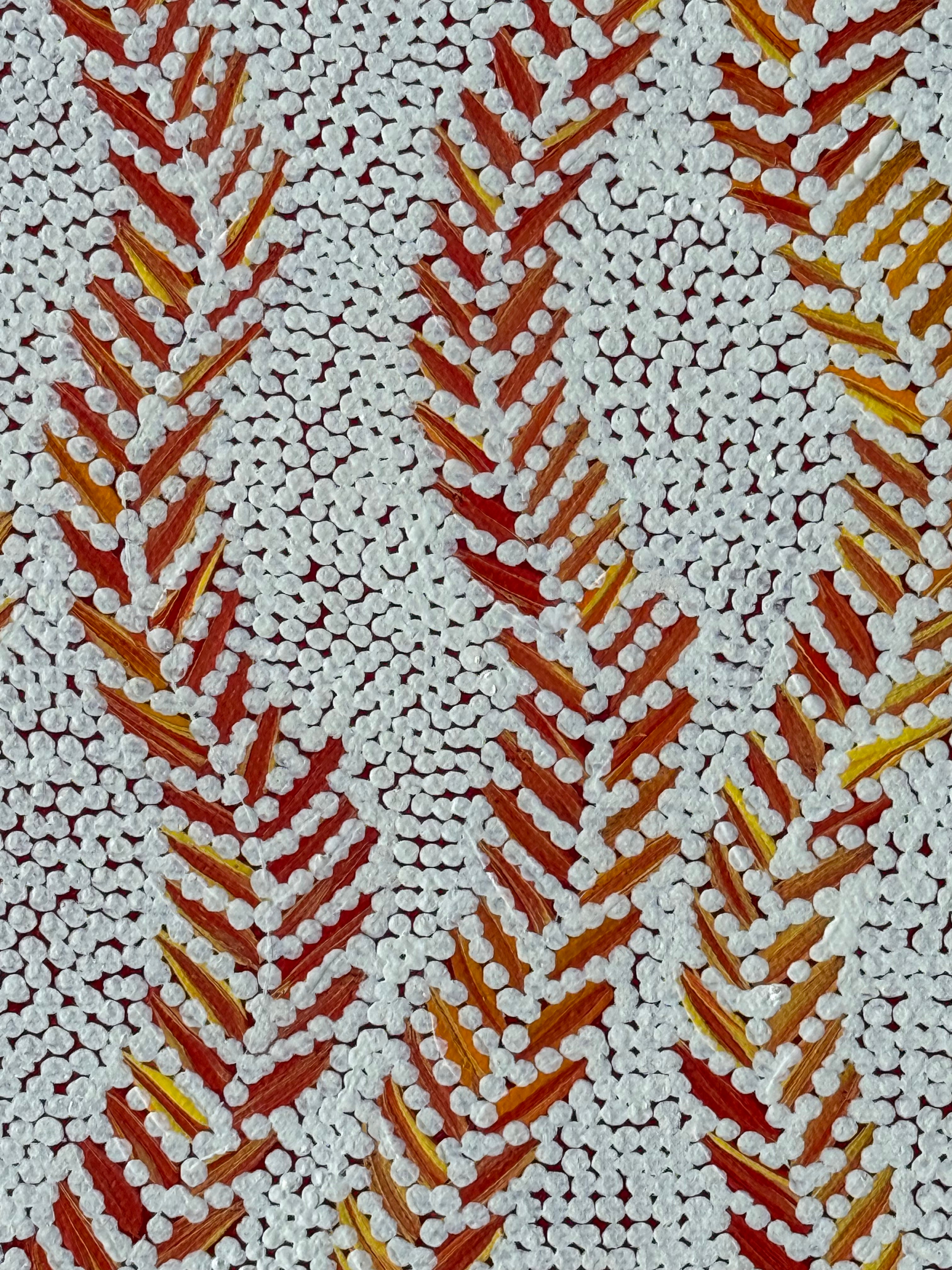 Patricia Nakamarra Oldfield - Karnta Jukurrpa (Women's Dreaming) Bush Medicine - Stretched