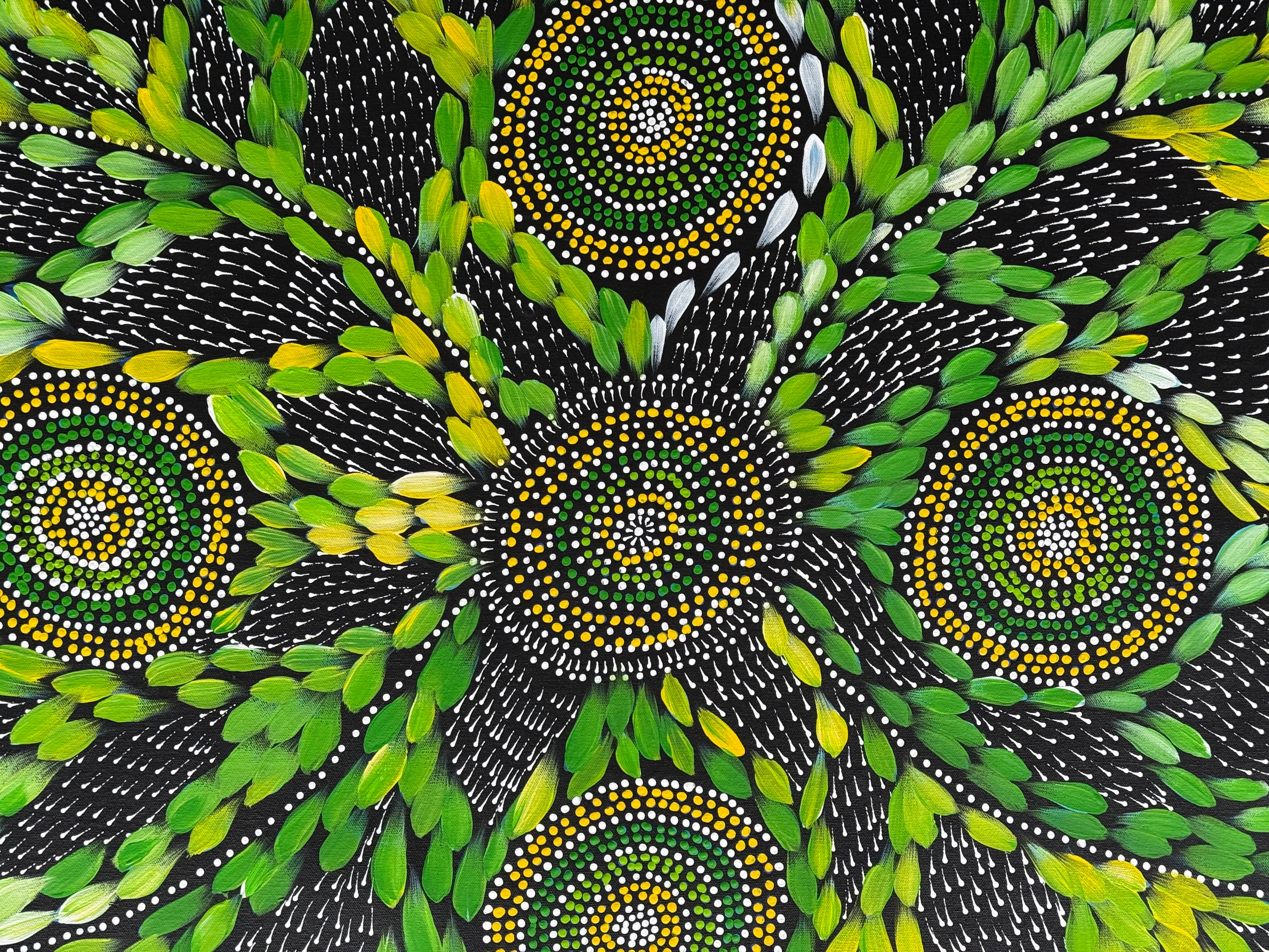 Scott Duggie - My Mother's Dreaming .67-8
