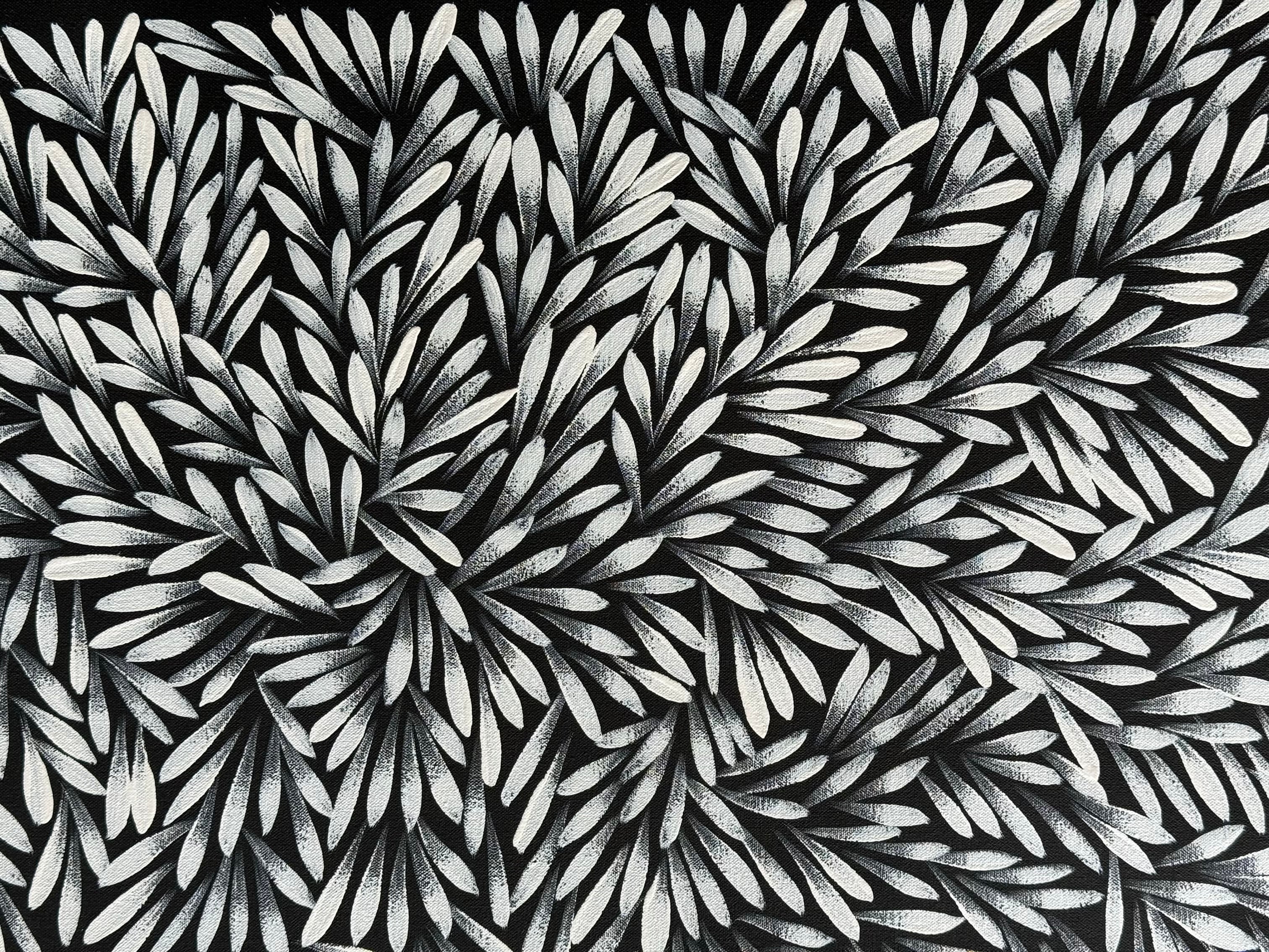 Sharon Numina - Bush Medicine Leaves .59-2