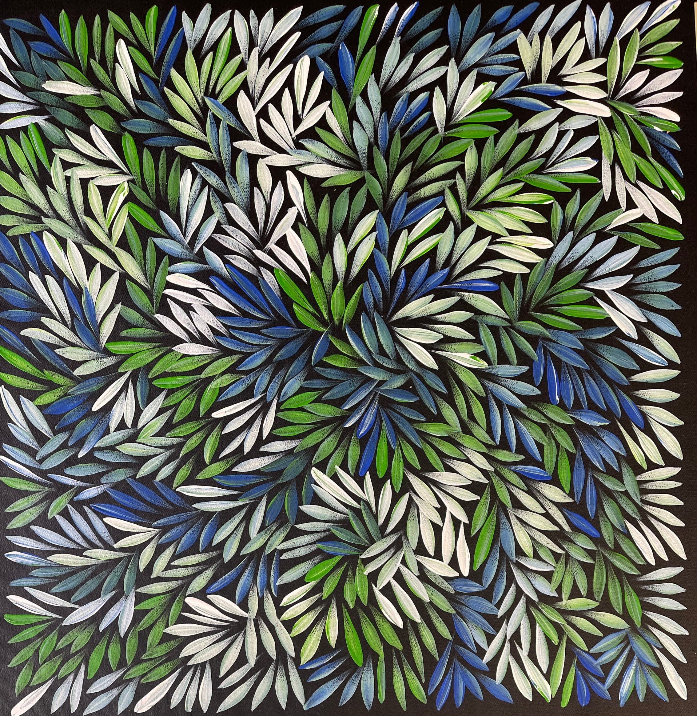 Sharon Numina - Bush Medicine Leaves - 59x60cm .92-4