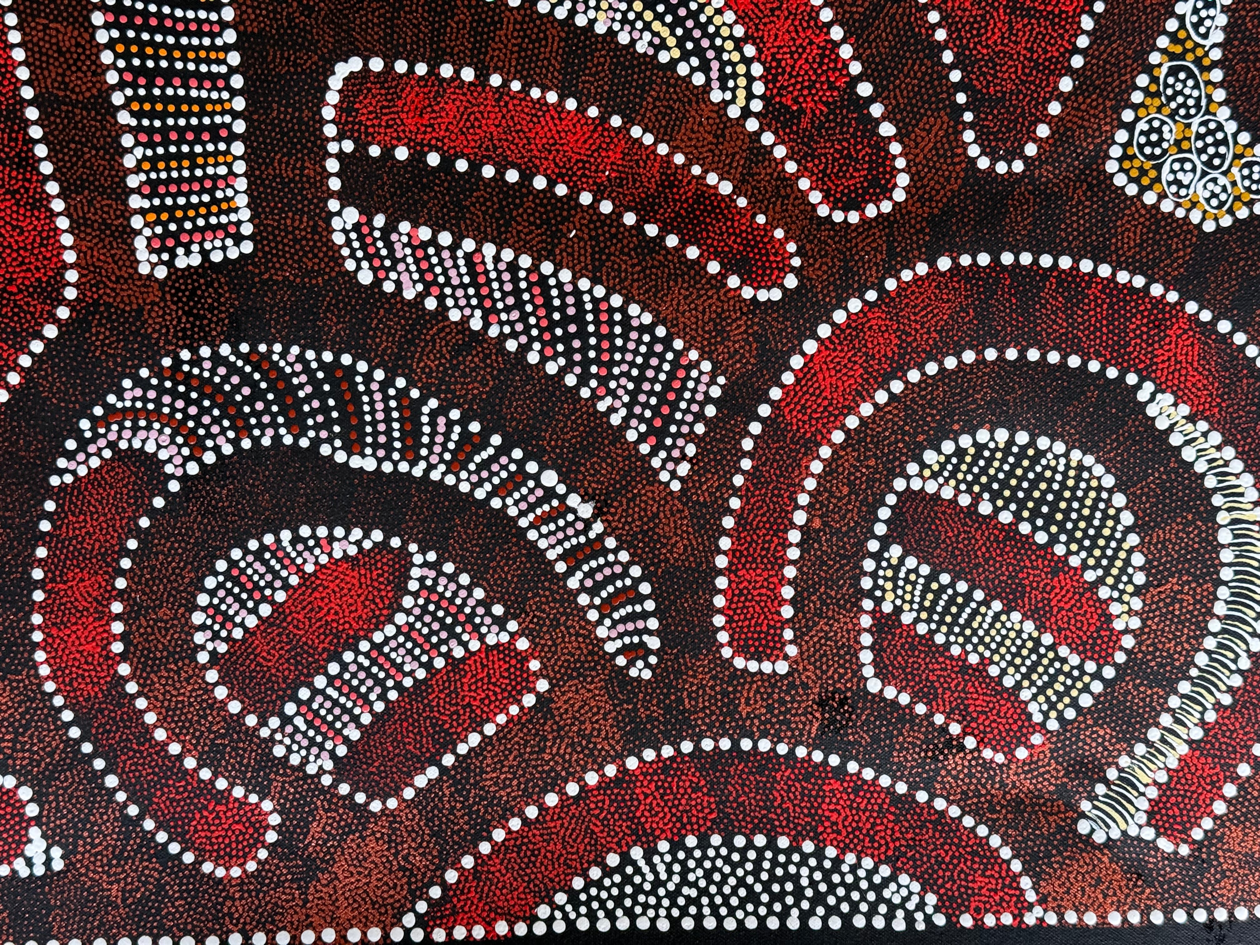 Caroline Numina - My Country, Thorny Lizard Dreaming .35-5