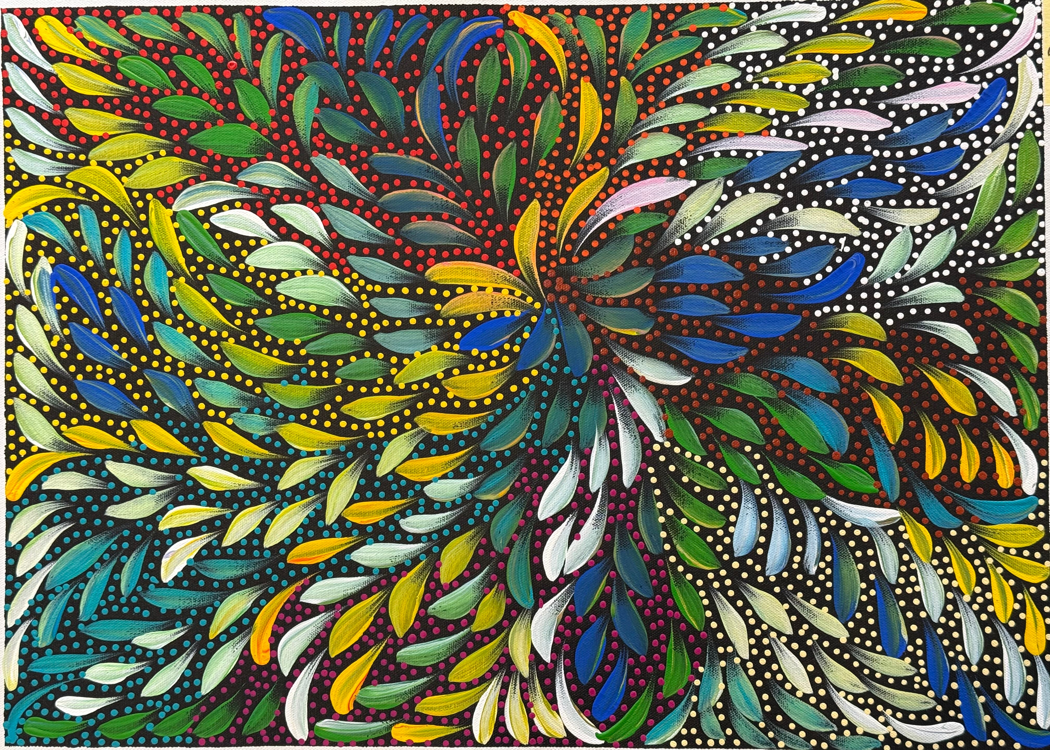 Caroline Numina - Bush Medicine Leaves and Seeds .04-24