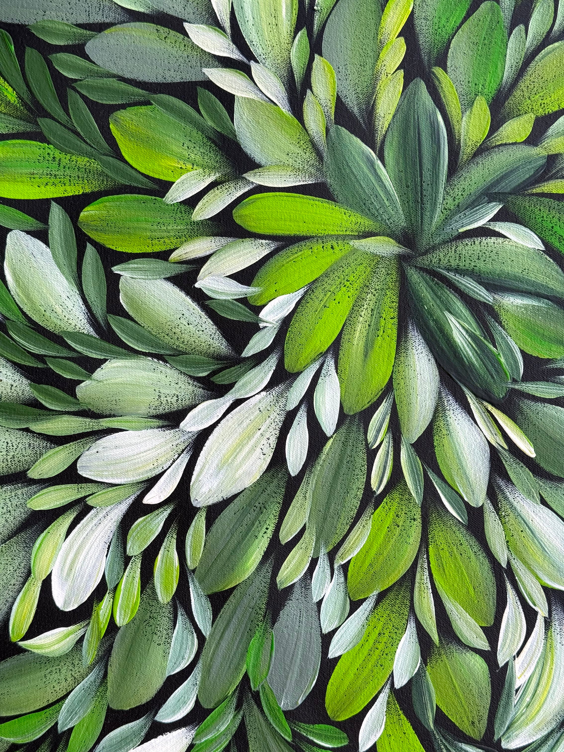 Louise Numina Napananka - Bush Medicine Leaves - 61x61cm .18-8