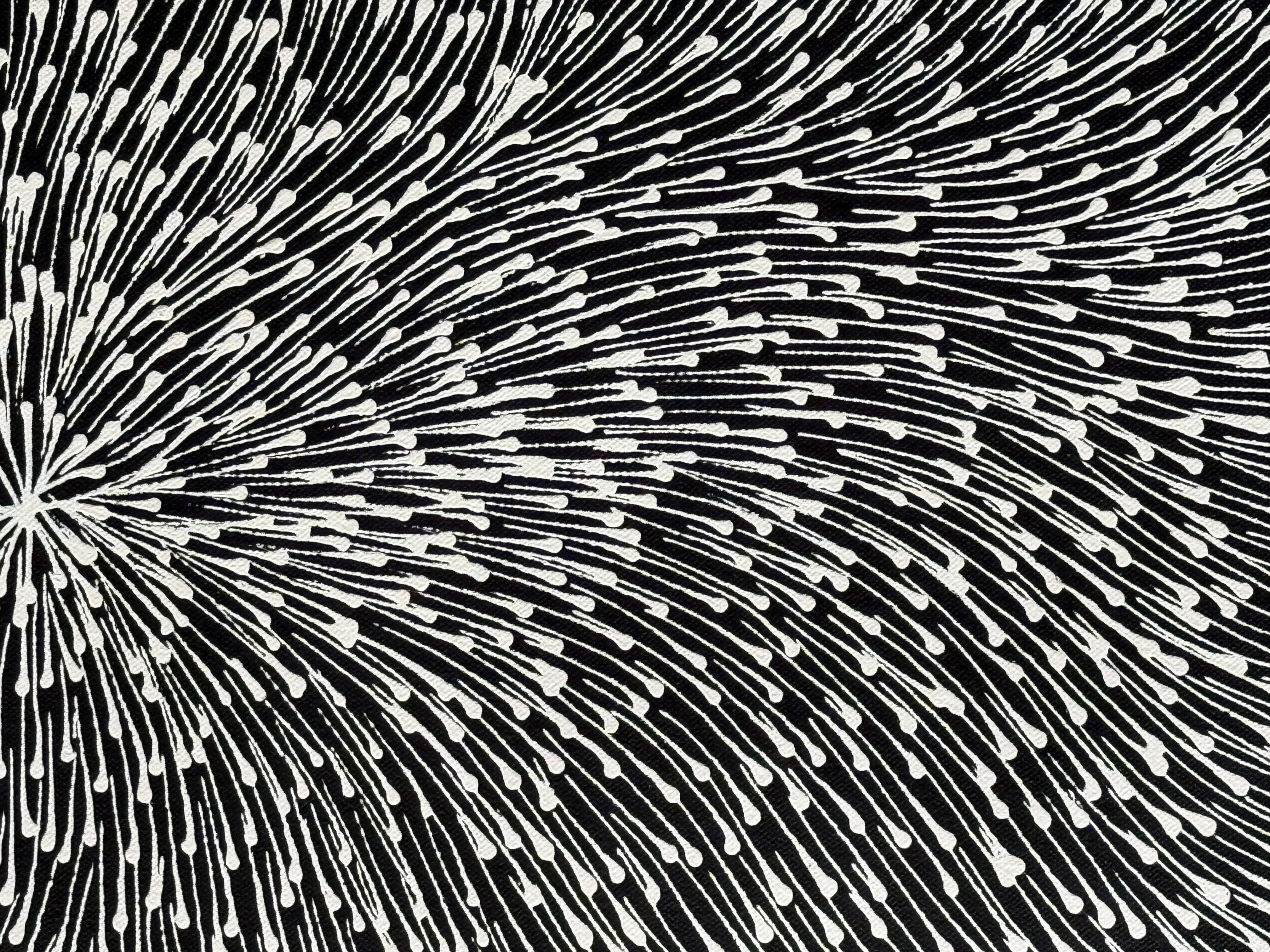 Sharon Numina - Bush Medicine Seeds .14-8