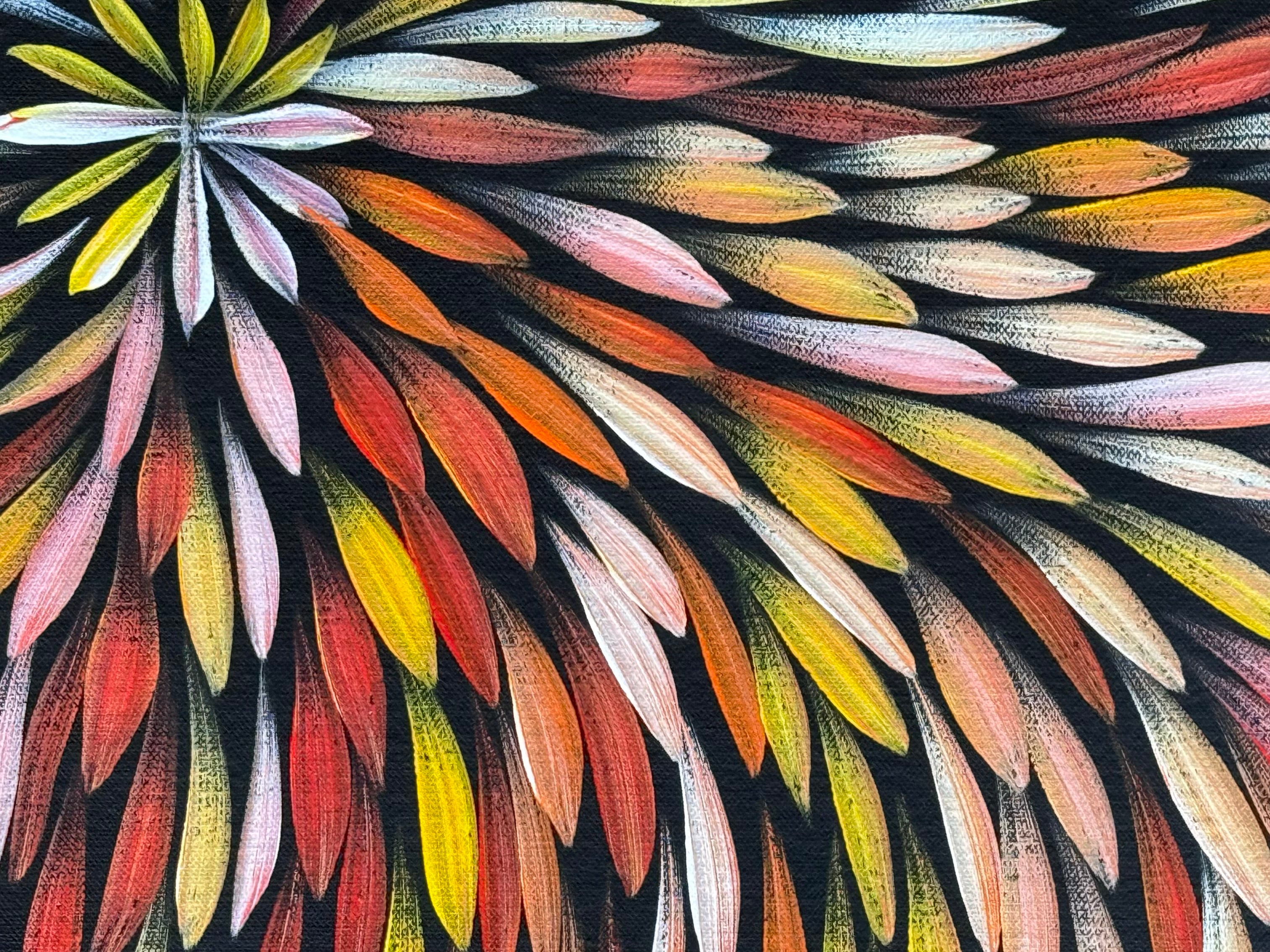 Sharon Numina - Bush Medicine Leaves .50-16