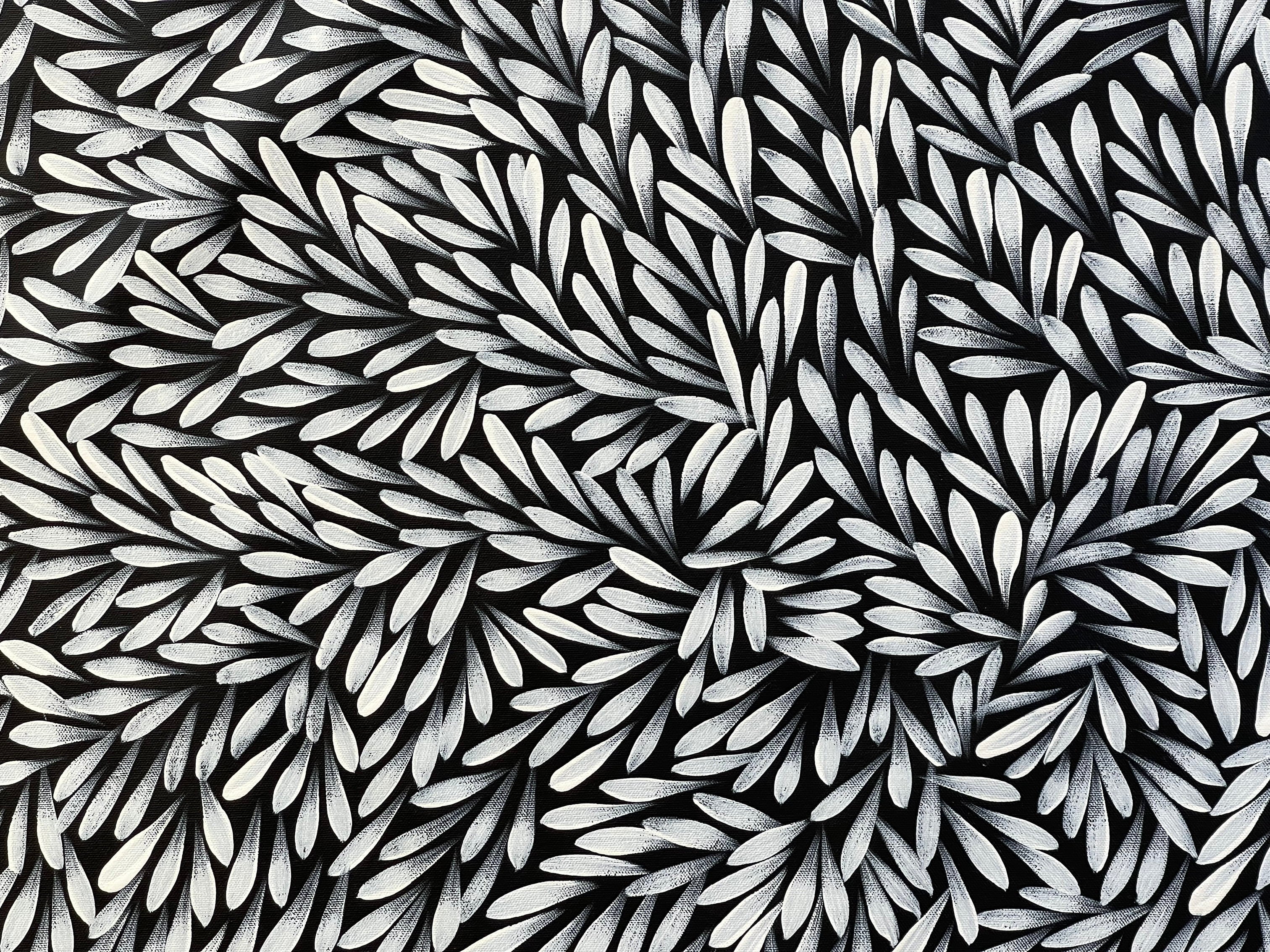 Sharon Numina - Bush Medicine Leaves - 143x66 .28-23