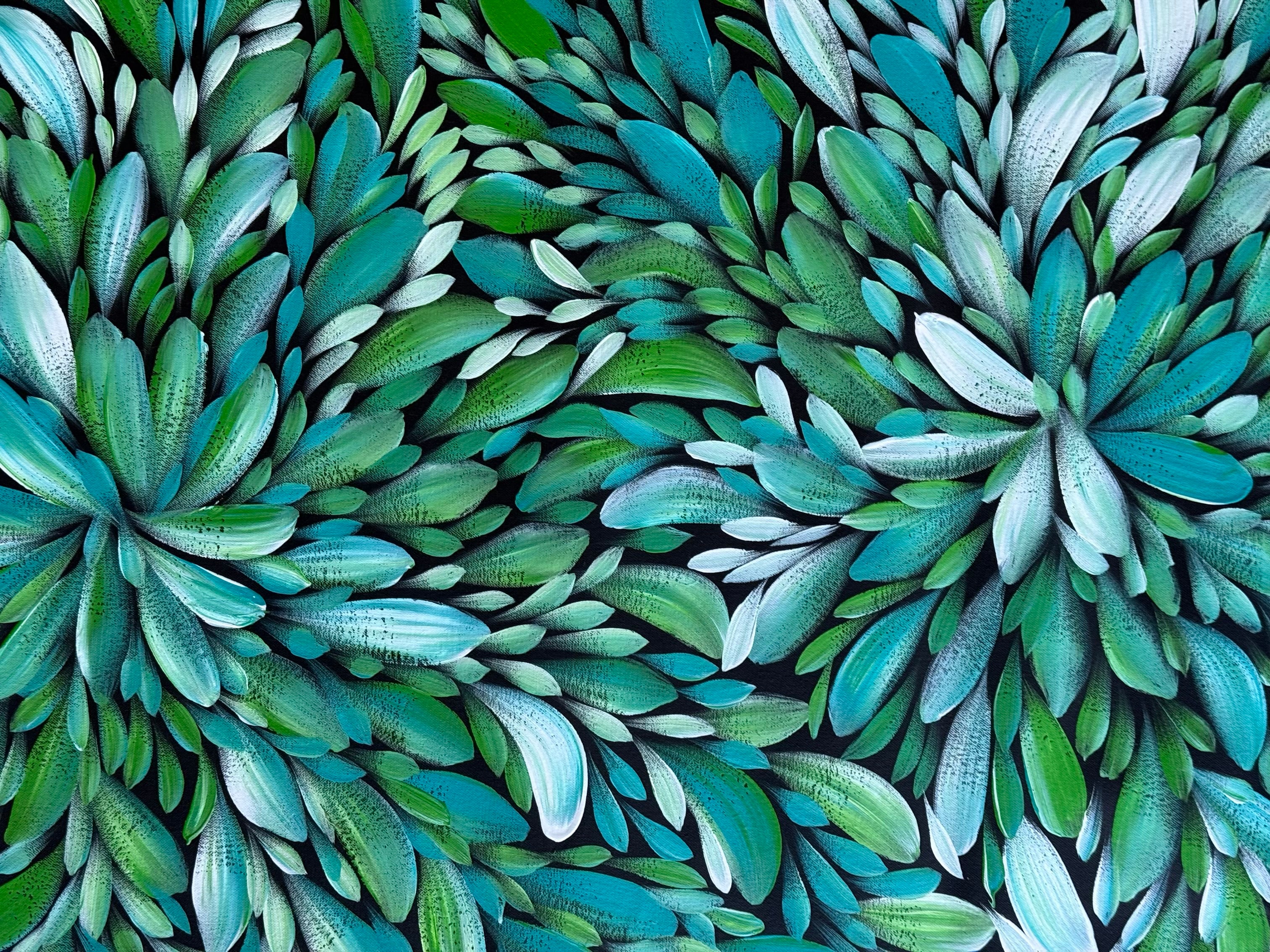 Louise Numina Napananka - Bush Medicine Leaves, Healing Leaves  .57-52