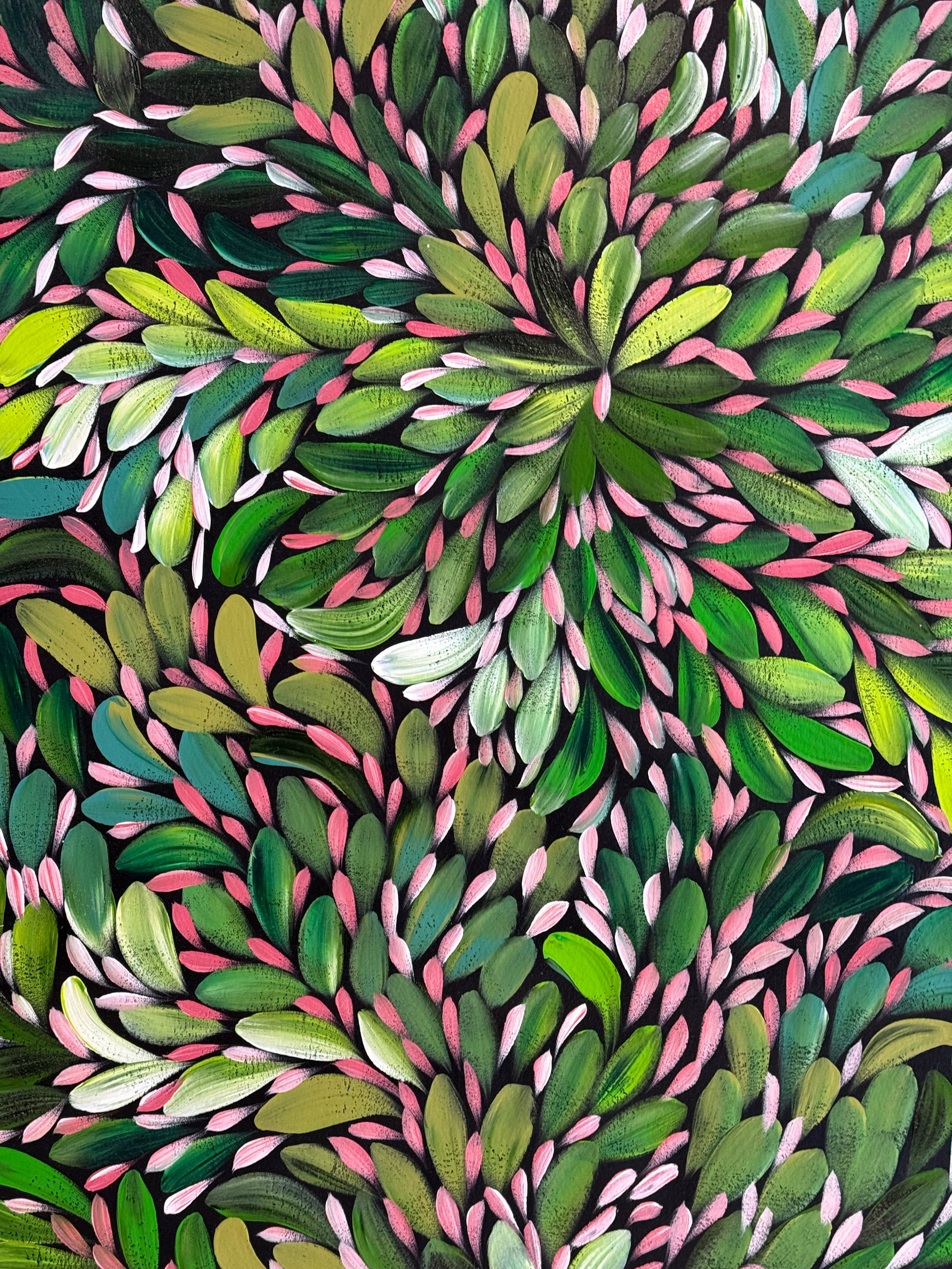 Louise Numina Napananka - Bush Medicine Leaves .22-31