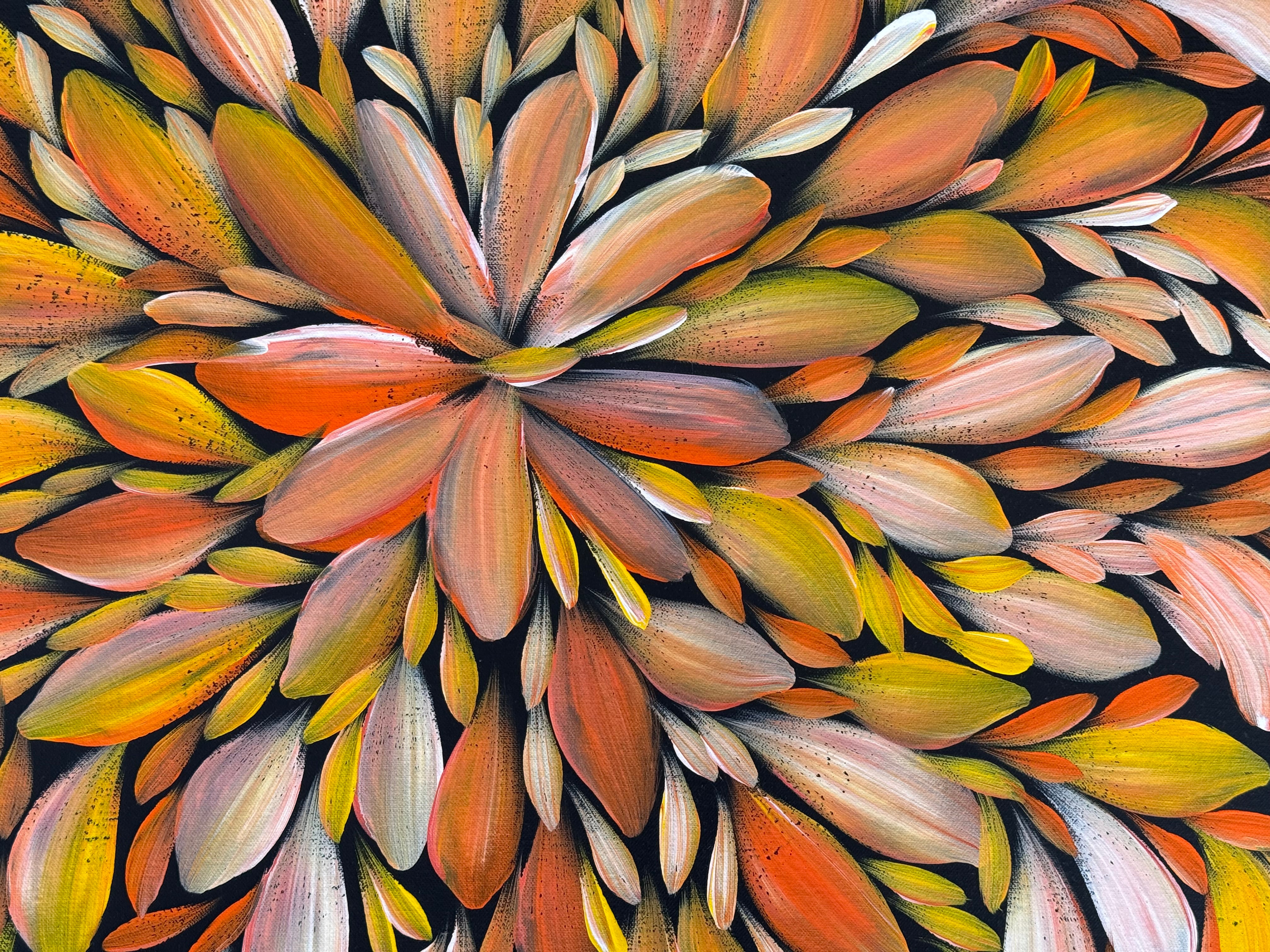 Louise Numina Napananka - Bush Medicine Leaves .75-13