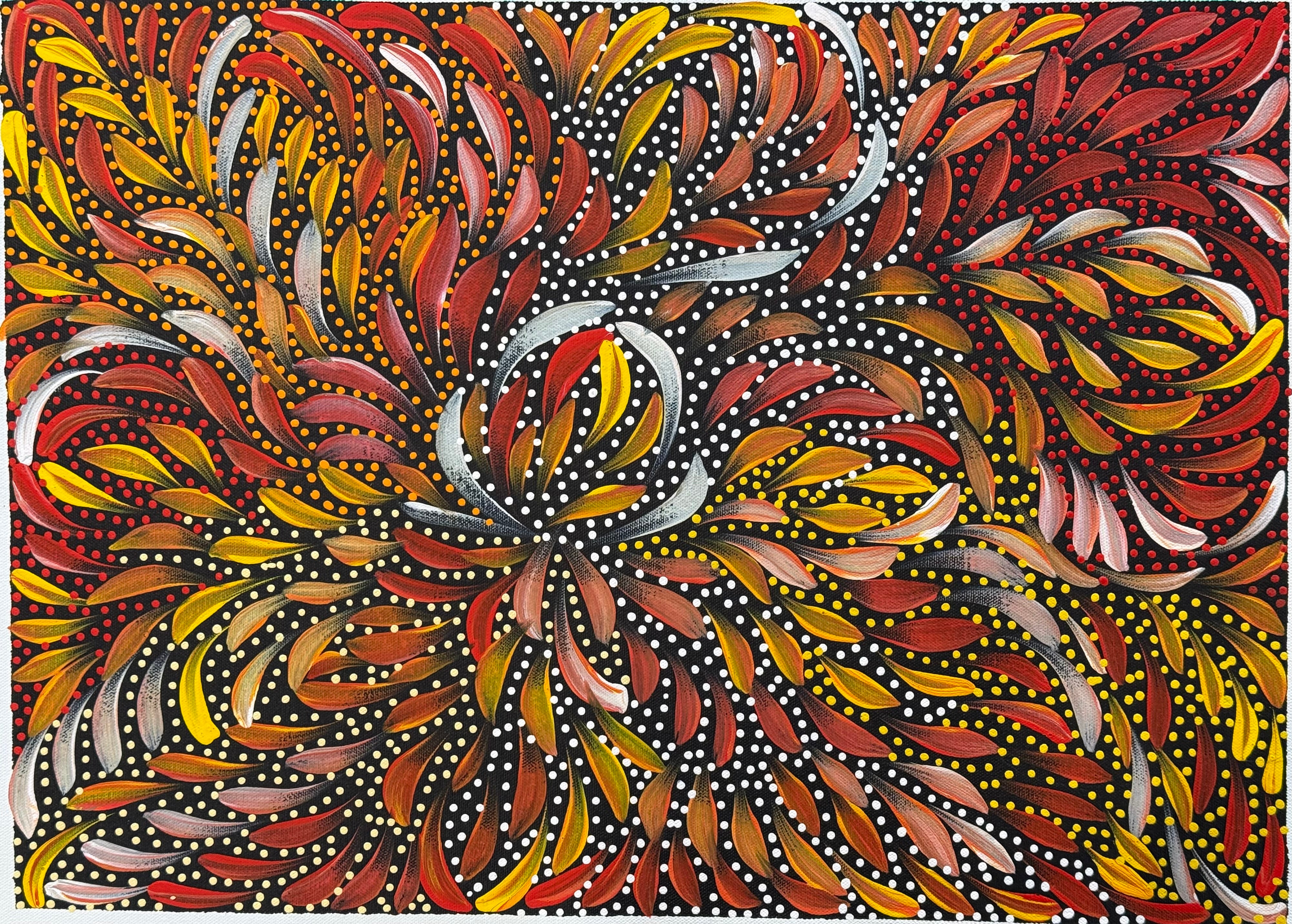 Caroline Numina - Bush Medicine Leaves and Seeds .04-23