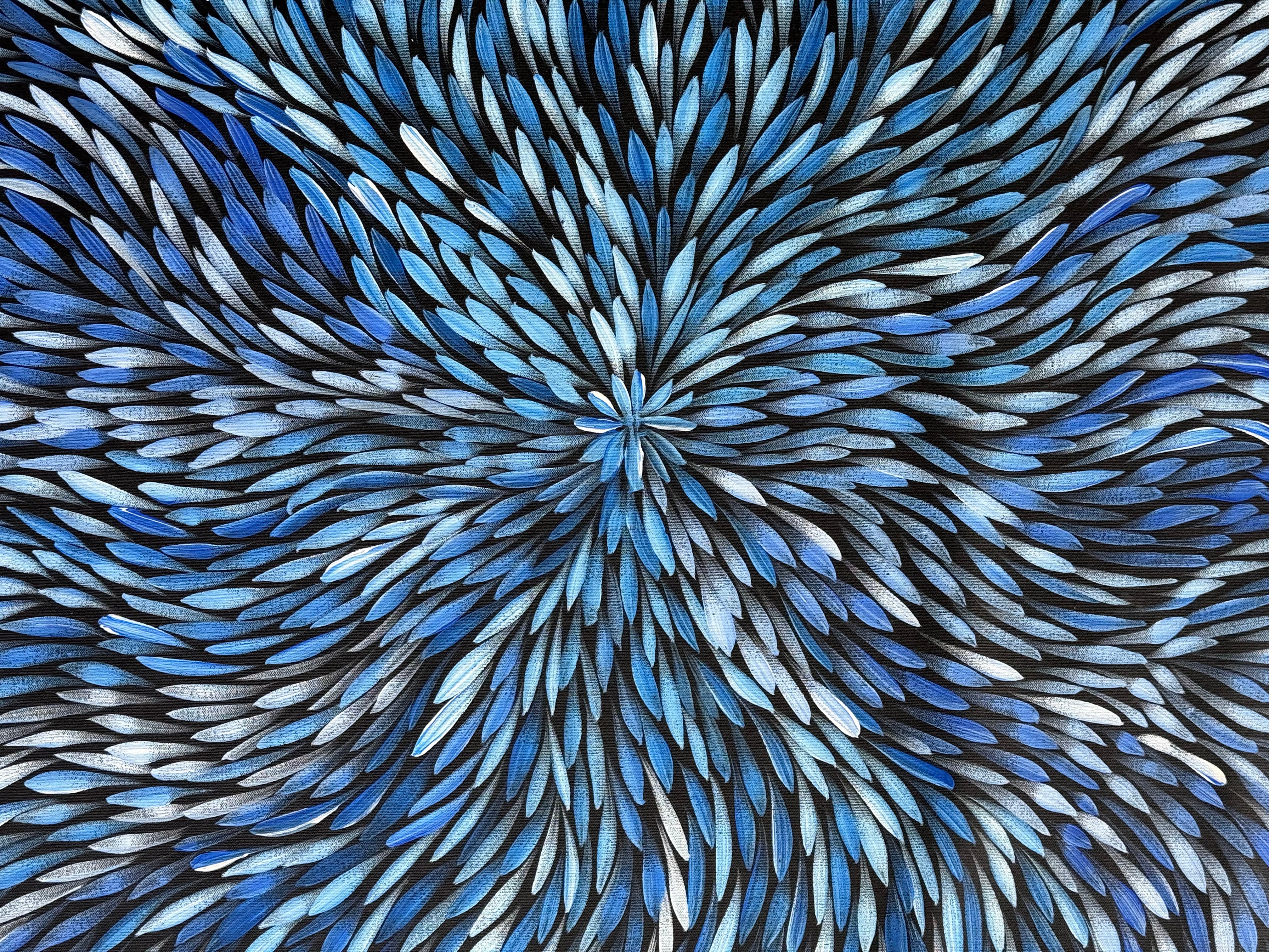 Sharon Numina - Bush Medicine Leaves .95-7