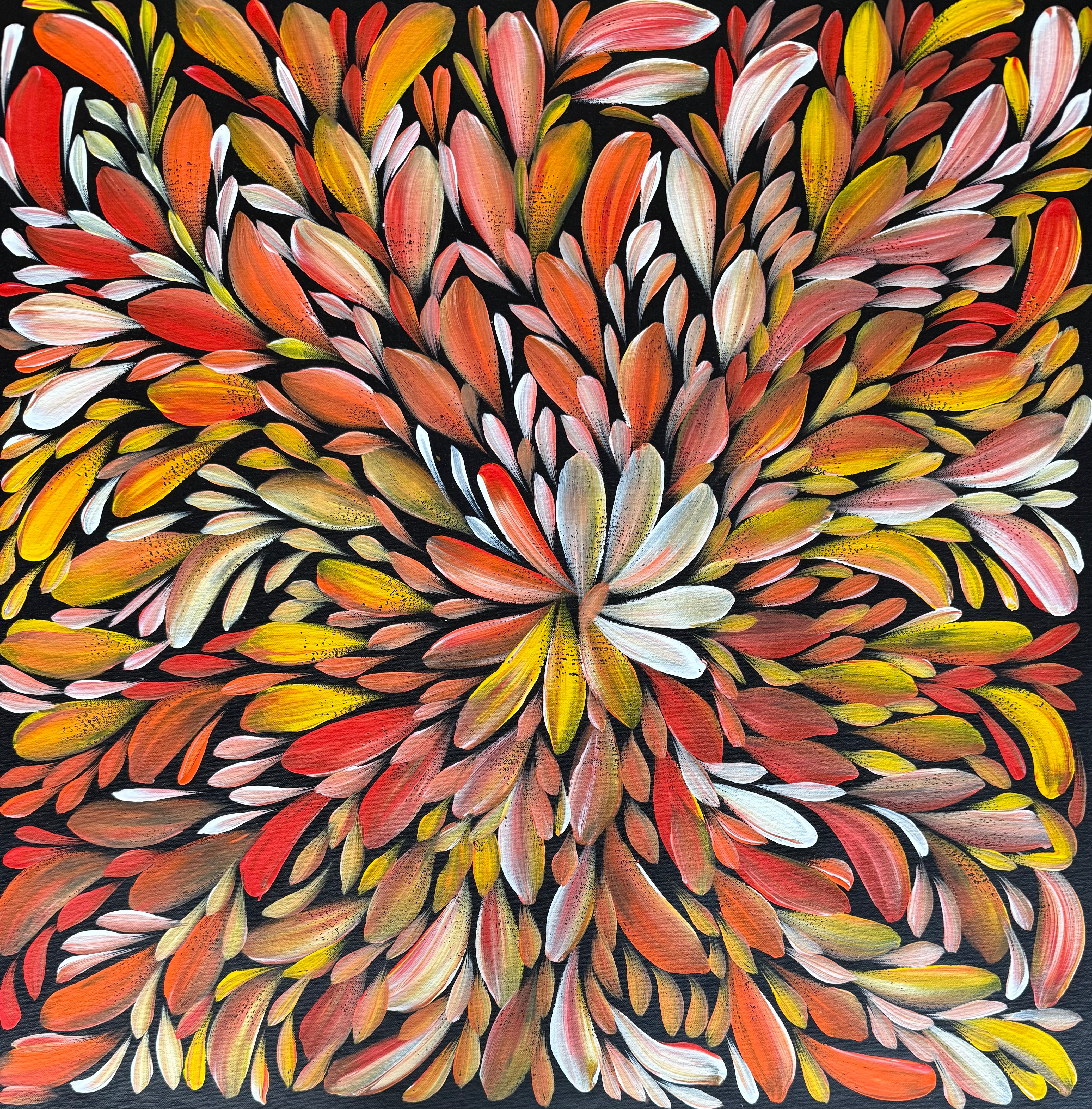 Louise Numina Napananka - Bush Medicine Leaves .16-57