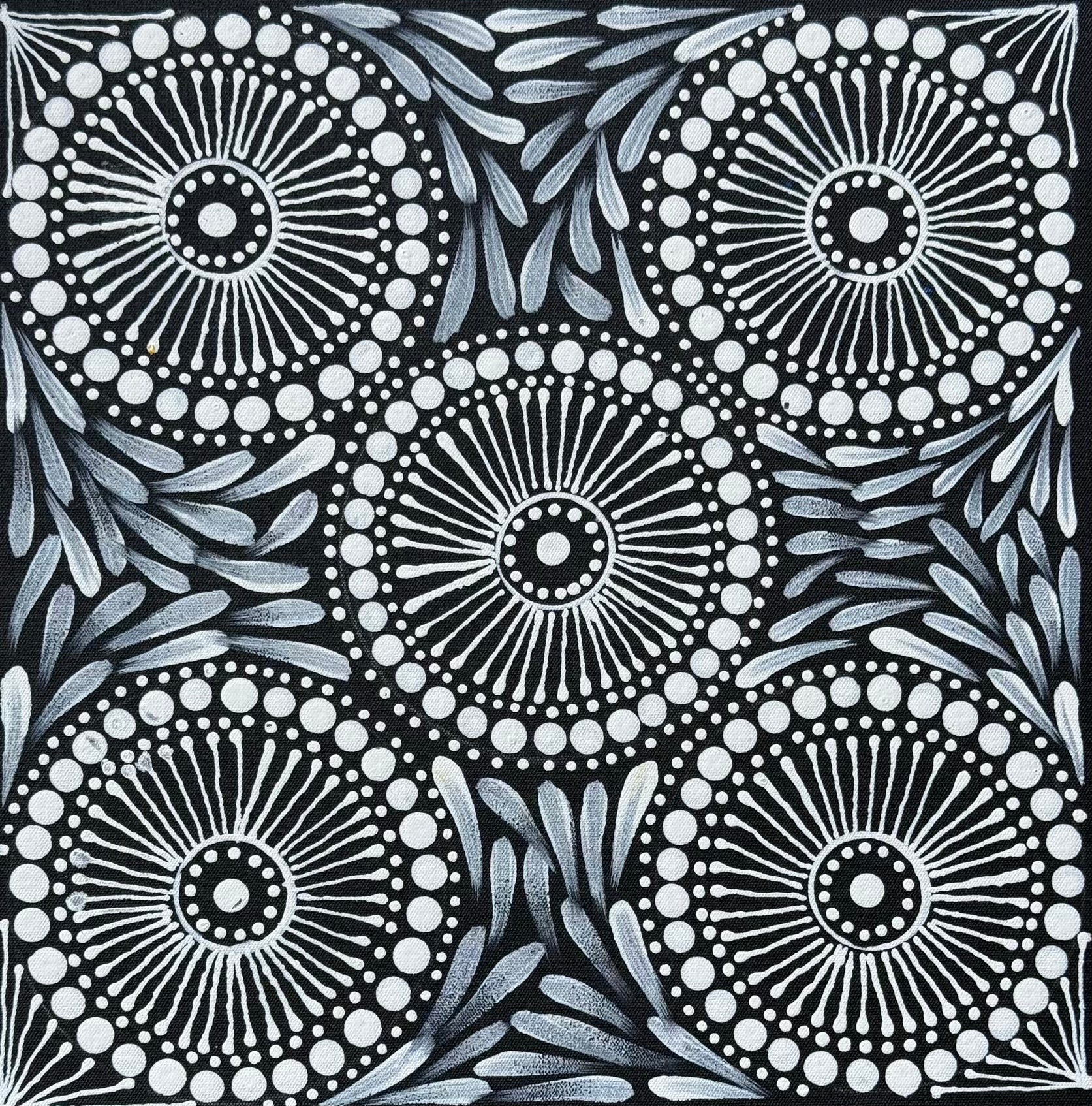 Maryanne Gibson - Bush Medicine, Bush Seeds .44-8