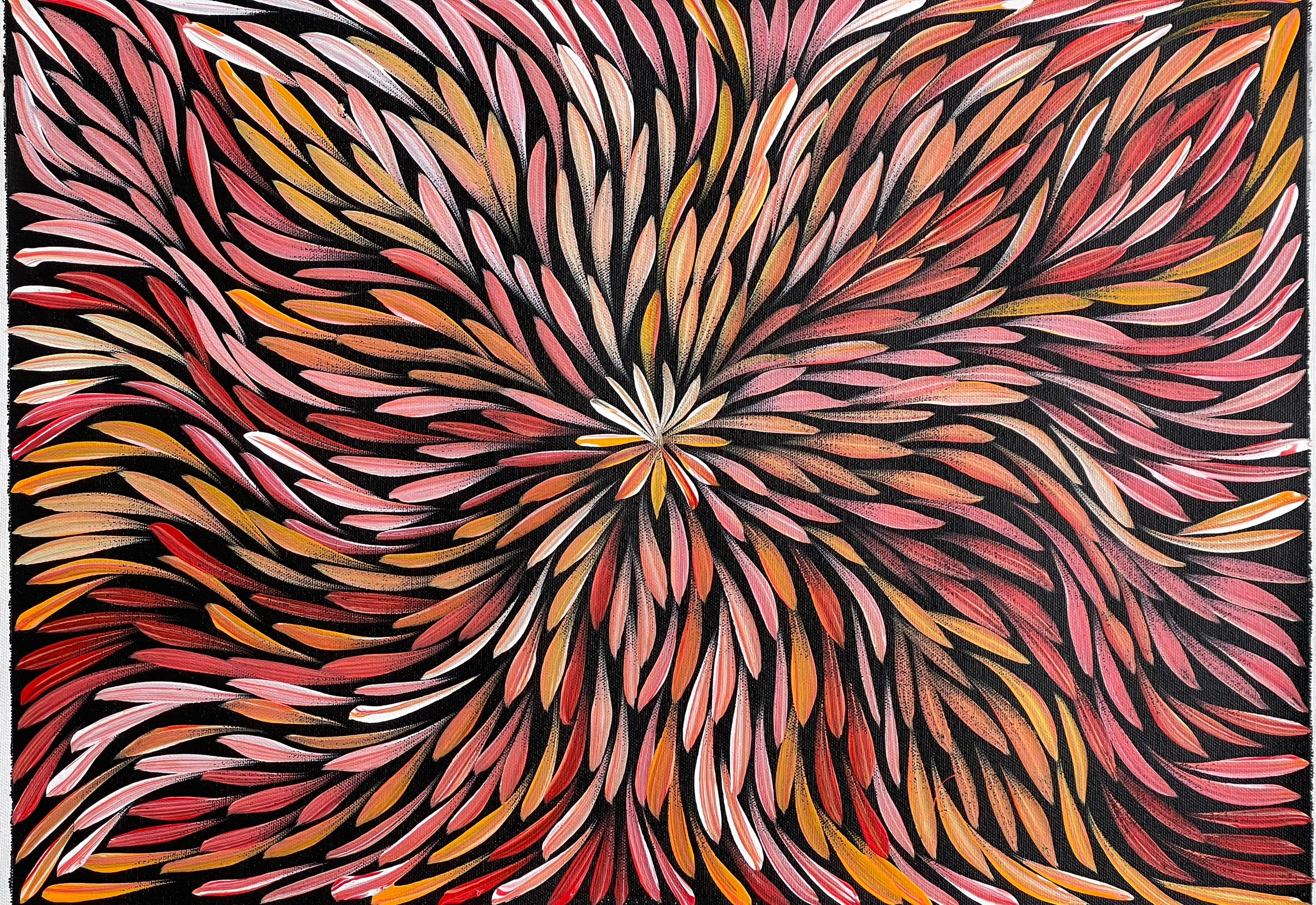 Sharon Numina - Bush Medicine Leaves- 38x52cm 91-25