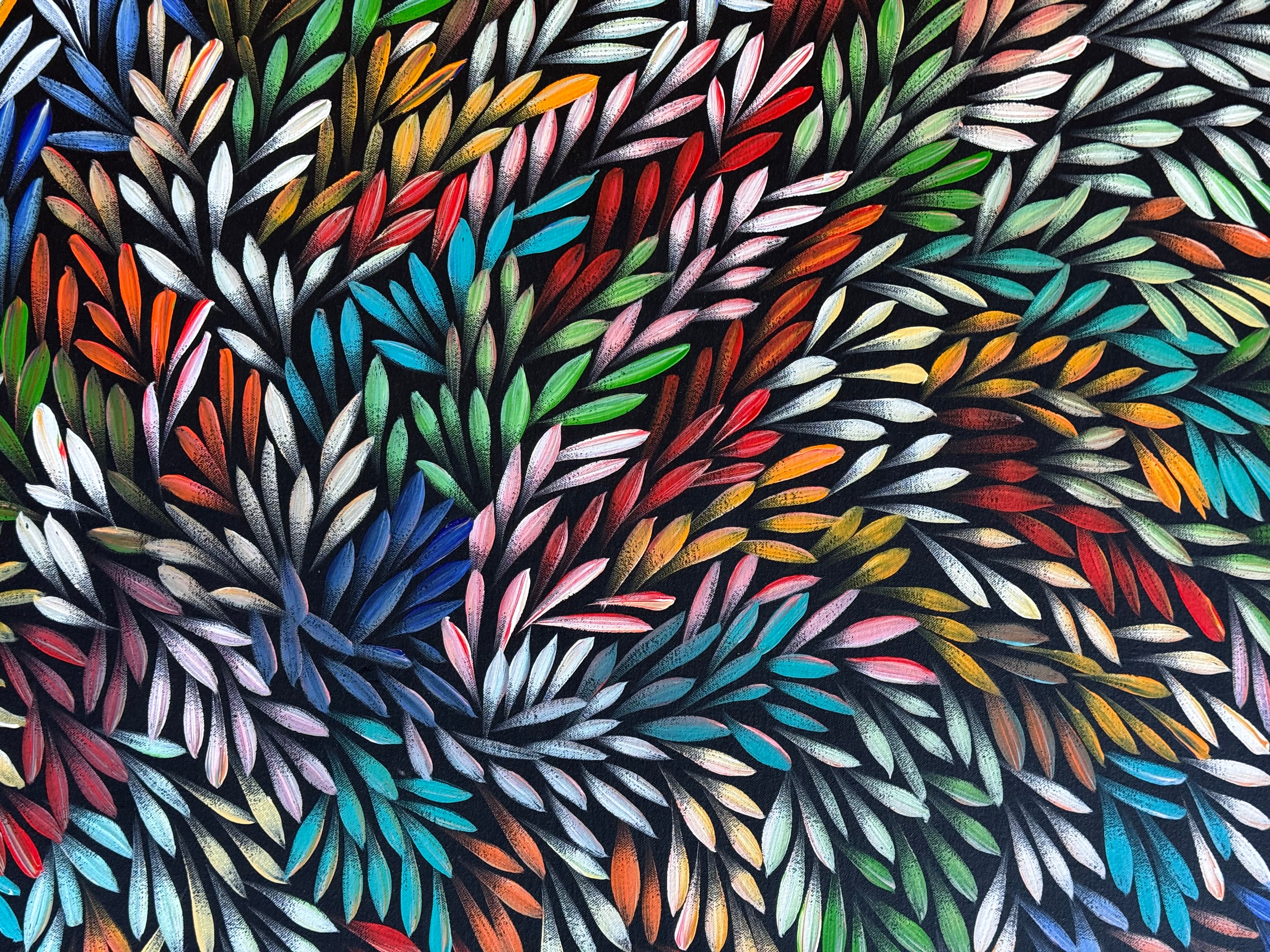 Sharon Numina - Bush Medicine Leaves .14-2