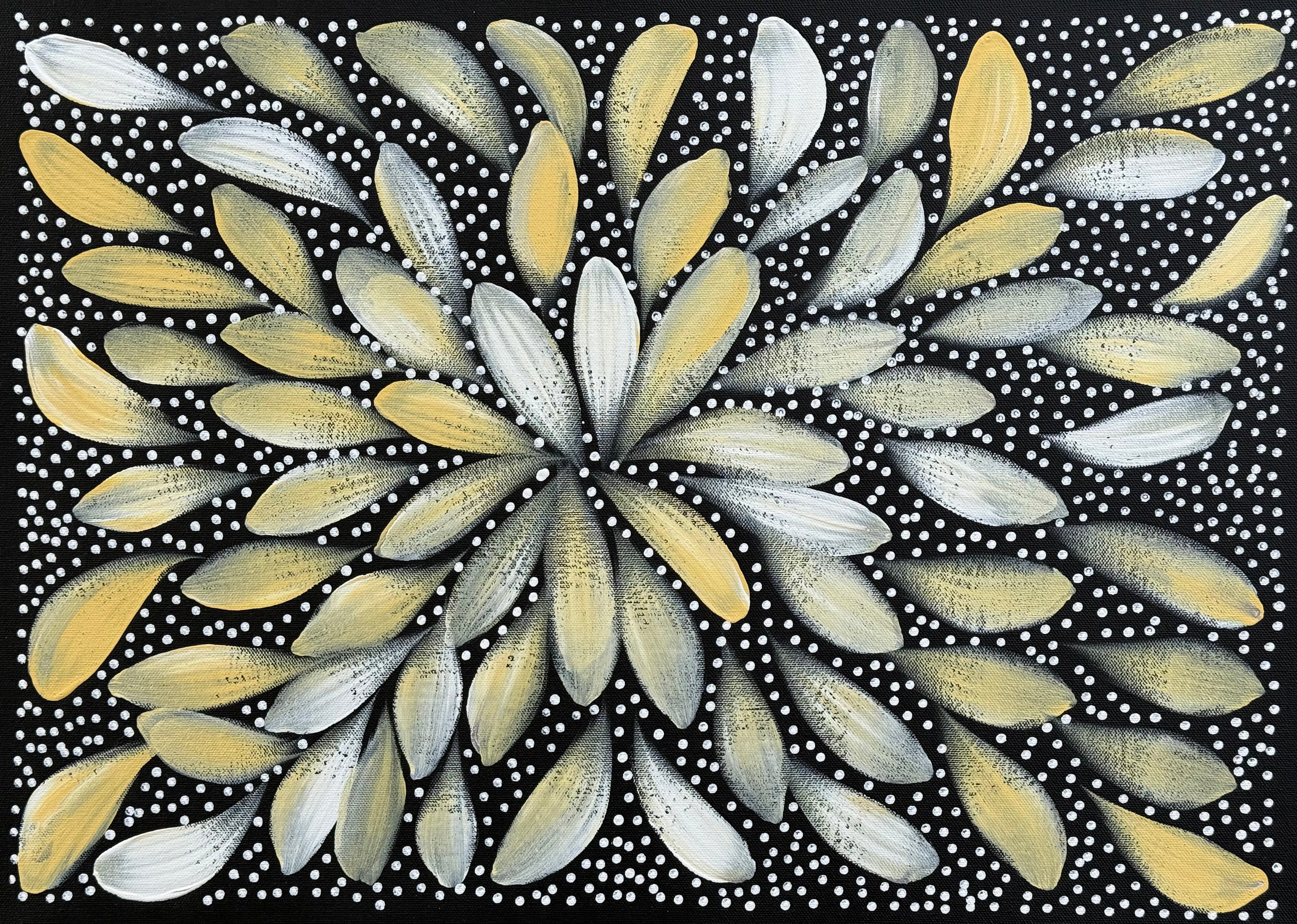 Louise Numina Napananka - Bush Medicine Leaves and Seeds .60-30