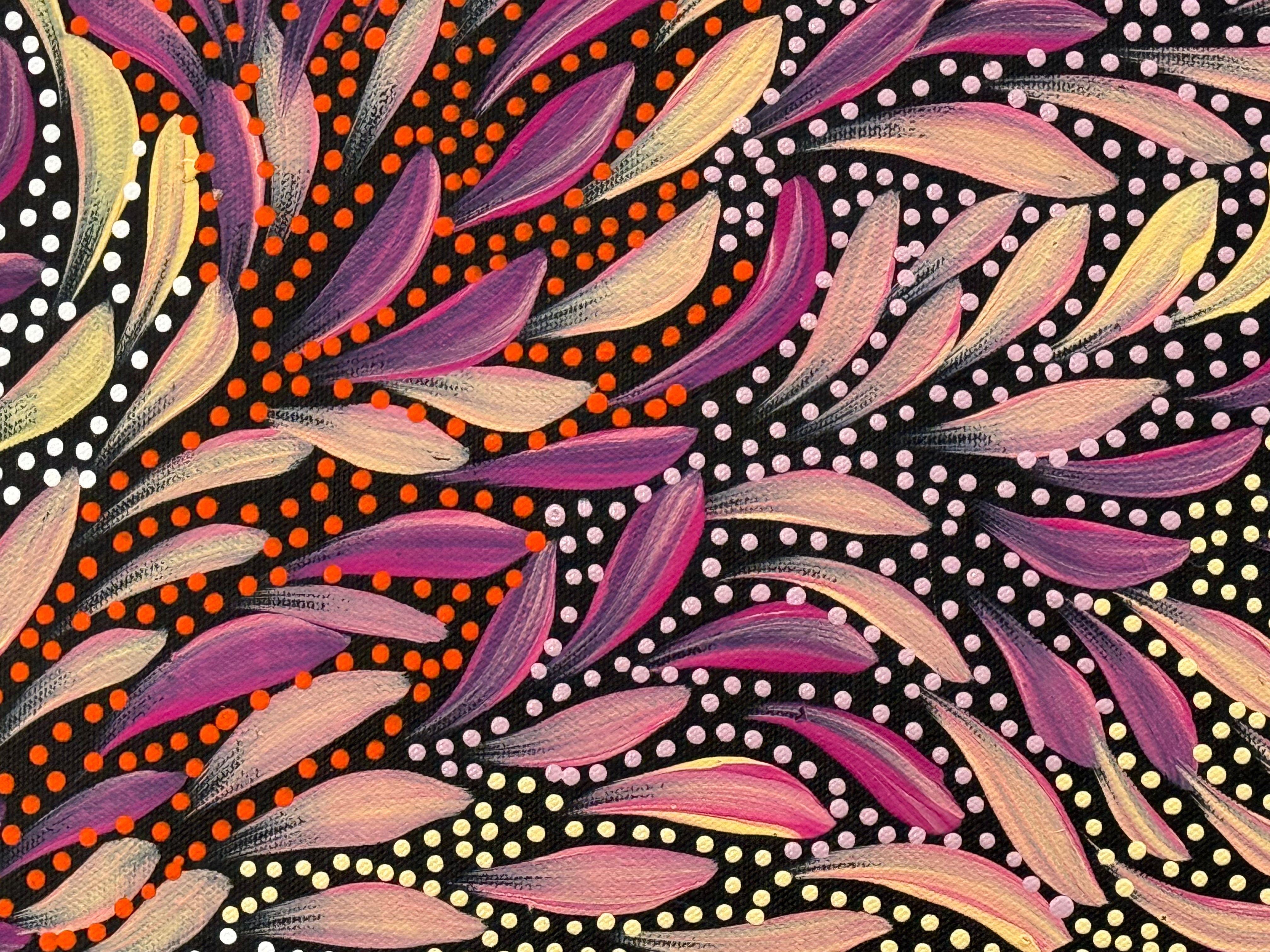 Caroline Numina - Bush Medicine Leaves and Seeds .04-15