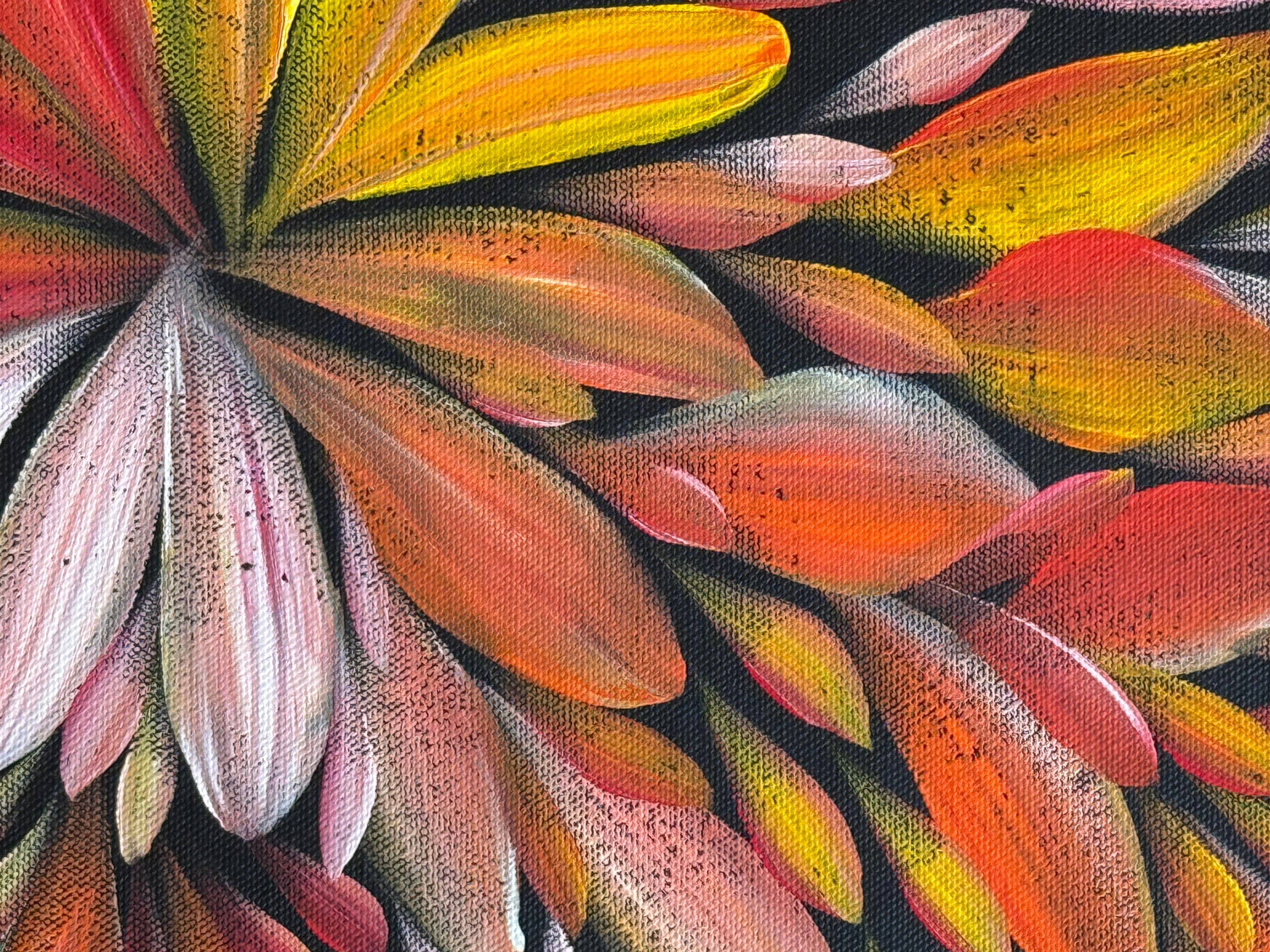 Louise Numina Napananka - Bush Medicine Leaves .57-78