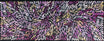Sharon Numina - Bush Medicine Leaves .59-5