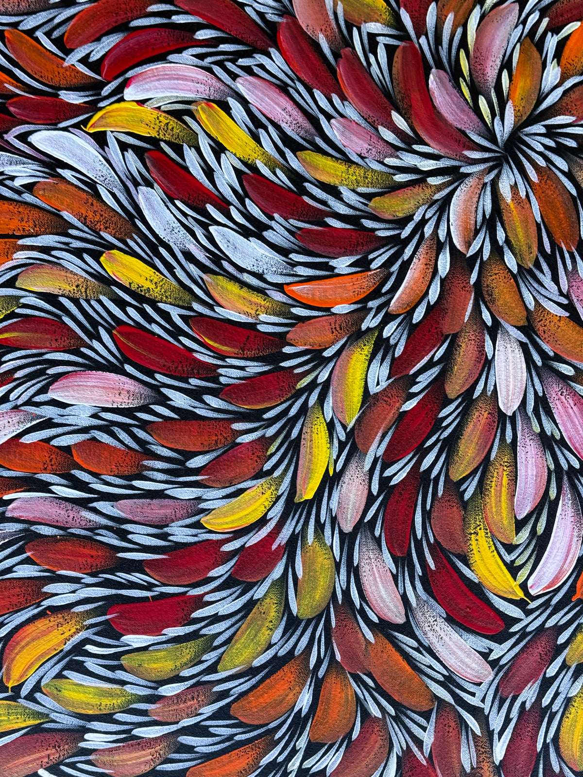Selina Numina Kamprina - Bush Medicine Leaves .44-6