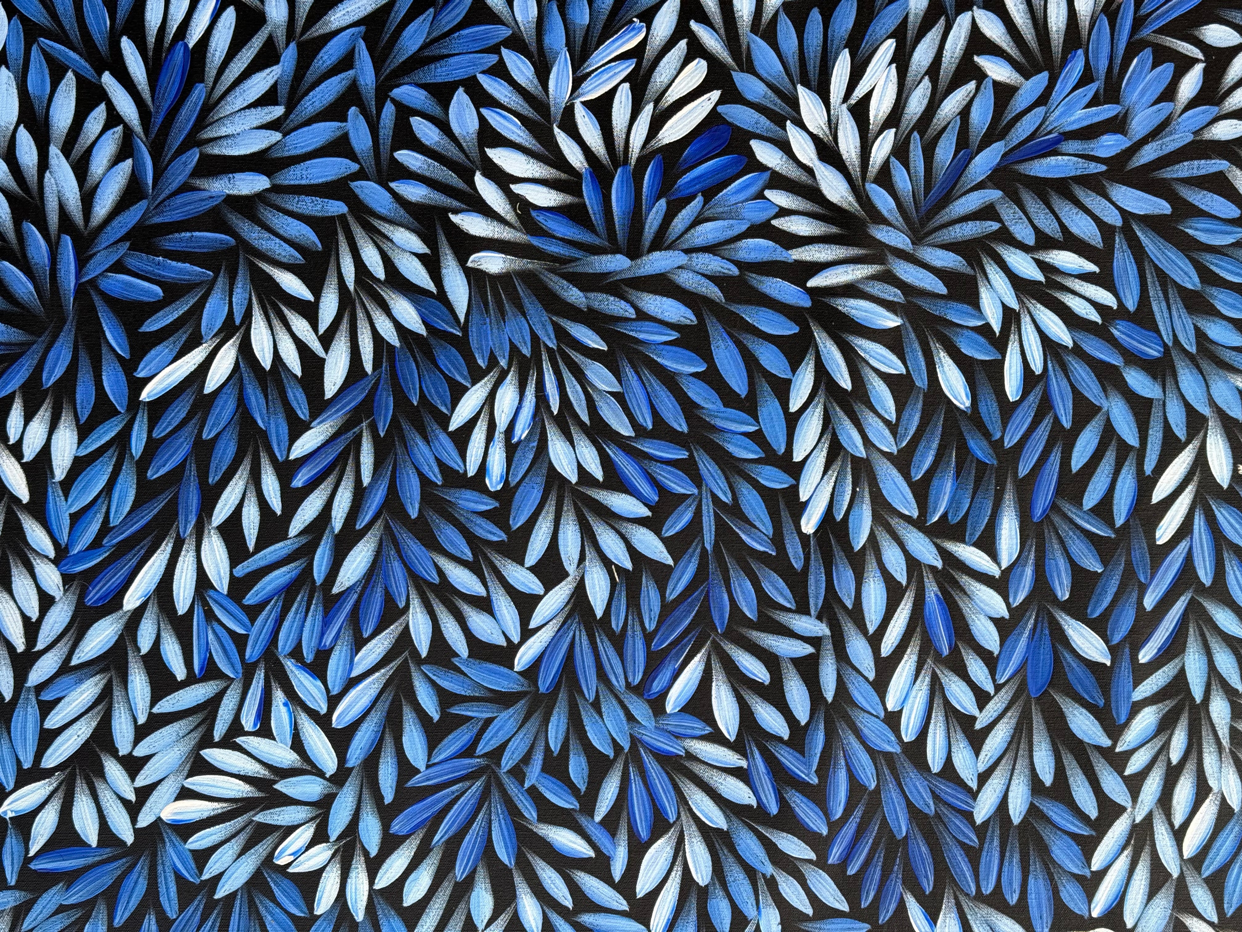 Sharon Numina - Bush Medicine Leaves .95-9