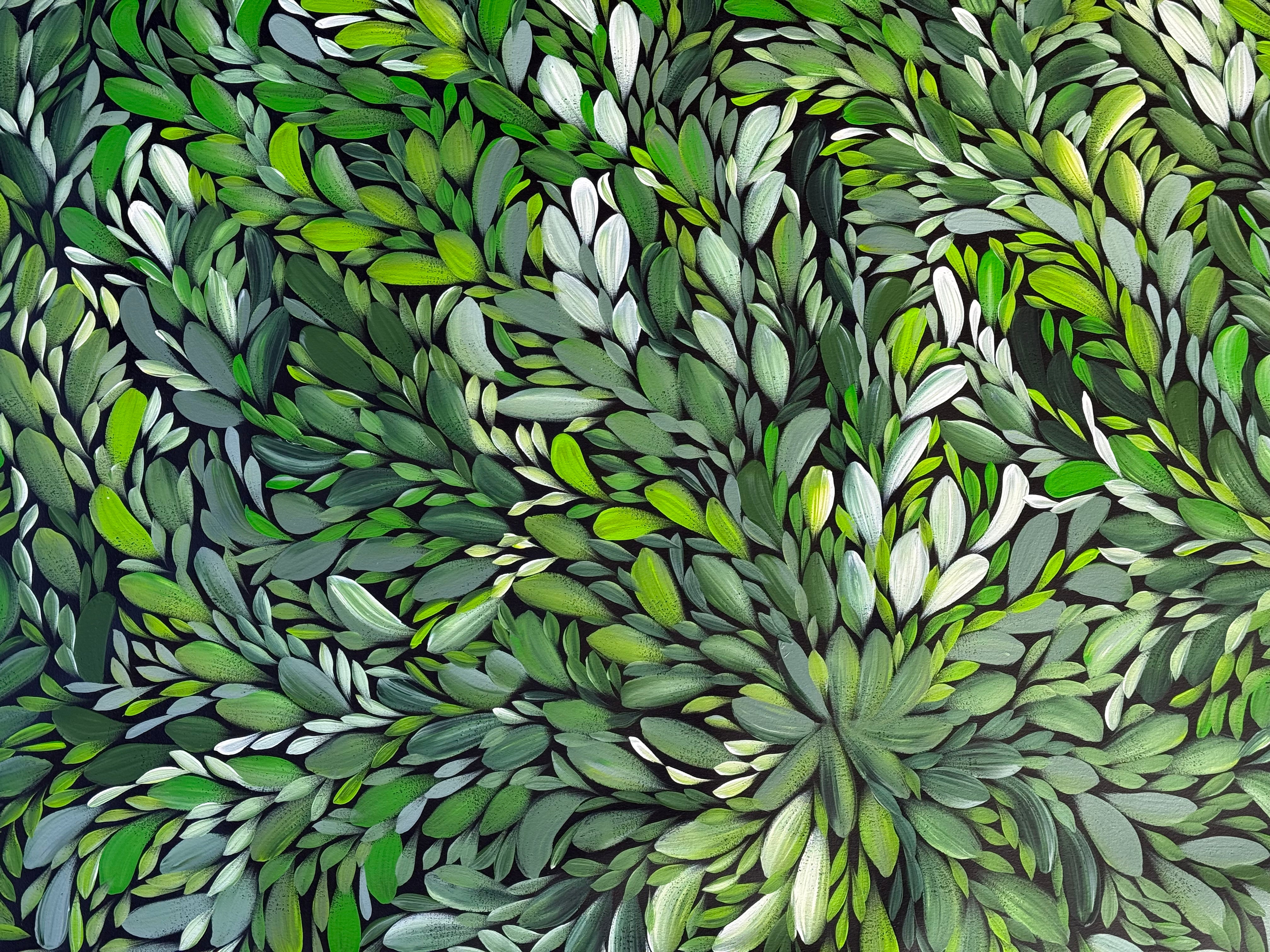 Louise Numina Napananka - Bush Medicine Leaves .18-13