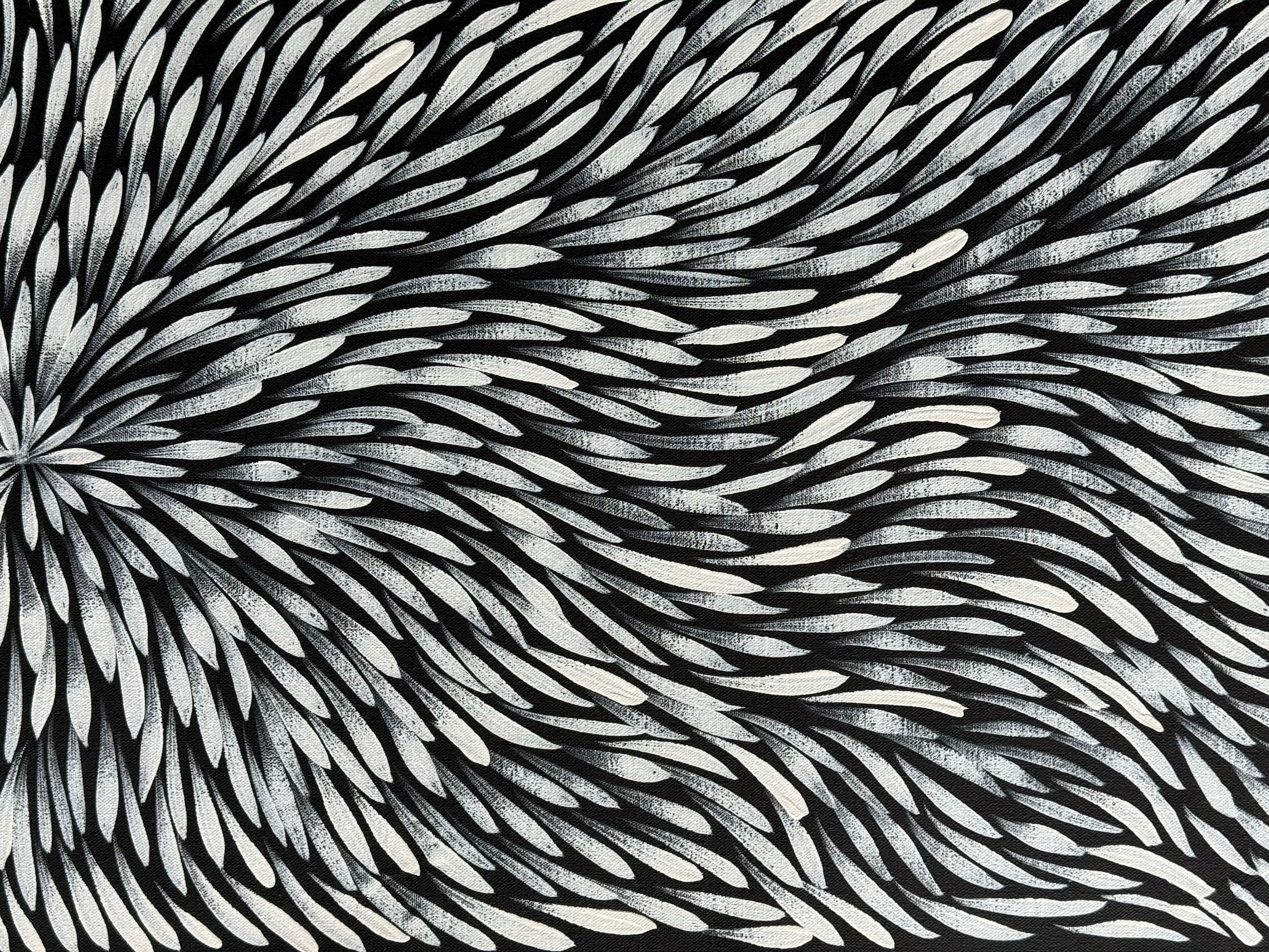Sharon Numina - Bush Medicine Leaves .59-6
