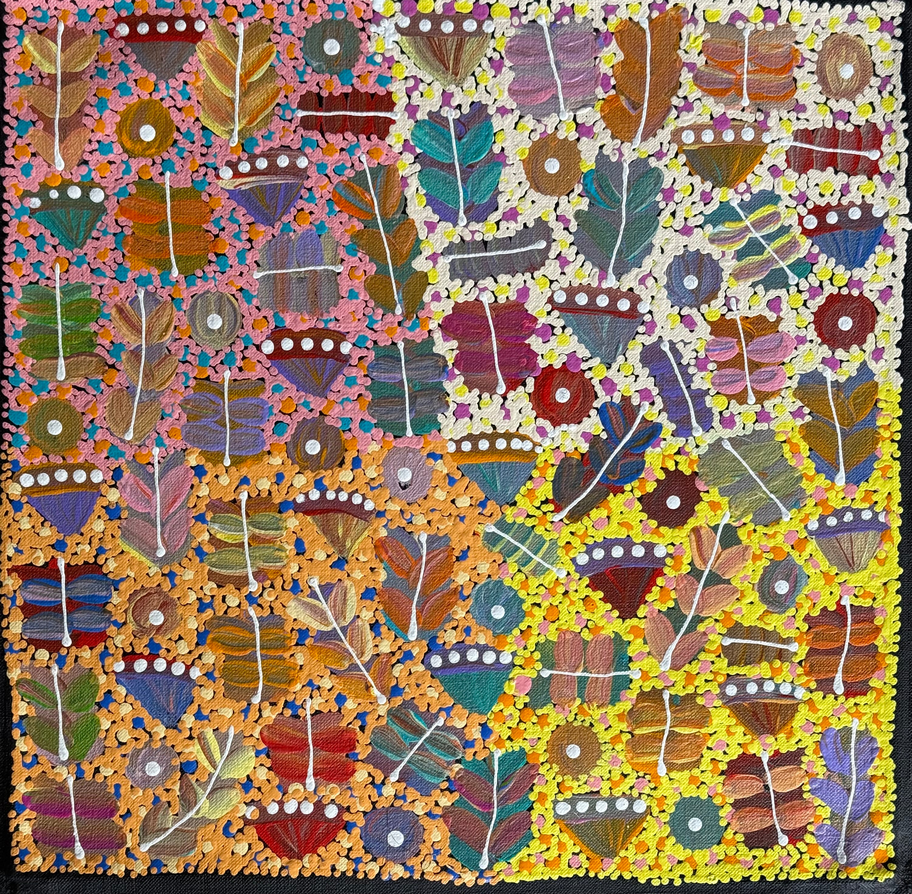 Joycie Morton Petyarre - Bush Medicine .171