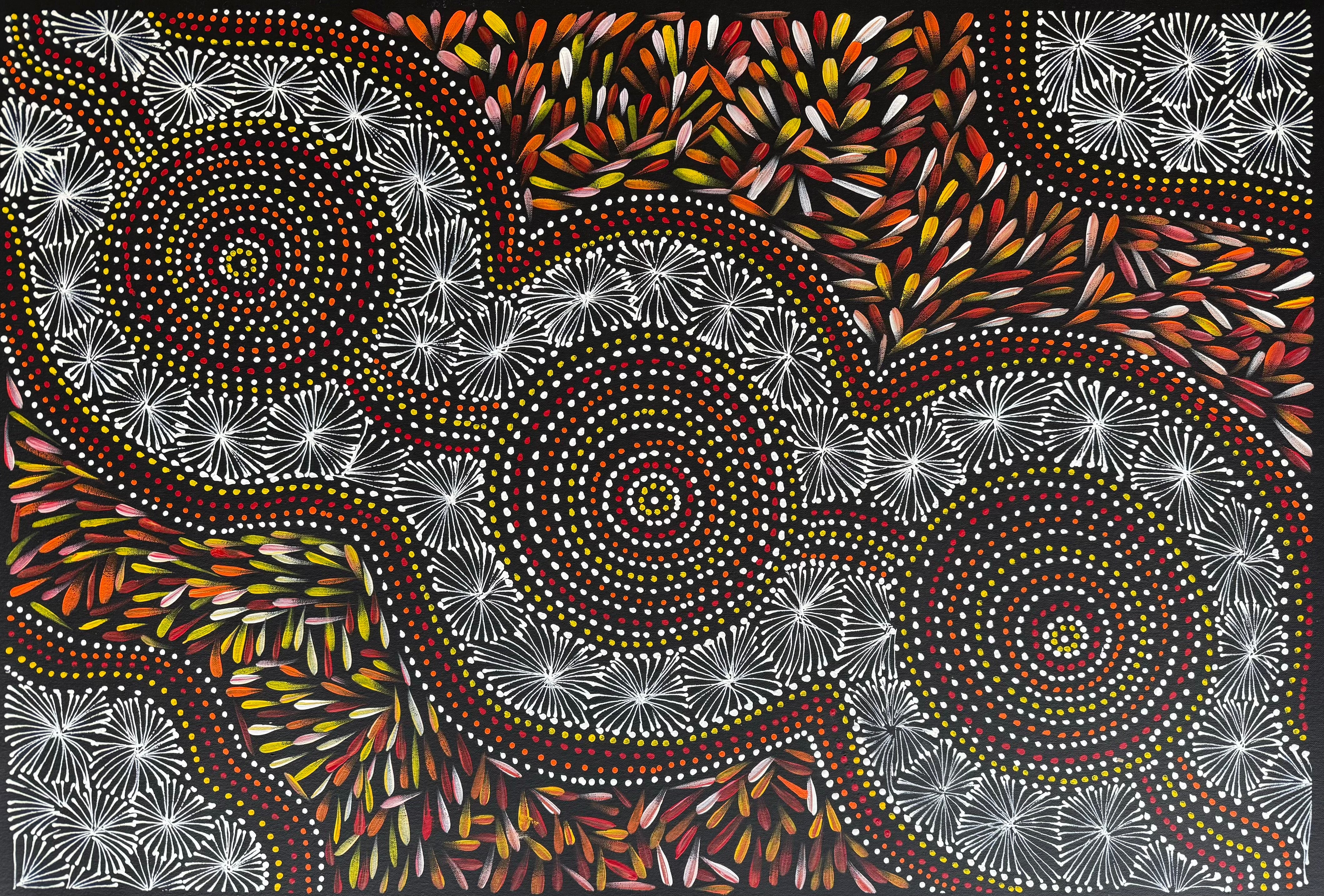 Selina Numina Kamprina - Seeds and Waterholes .44-4