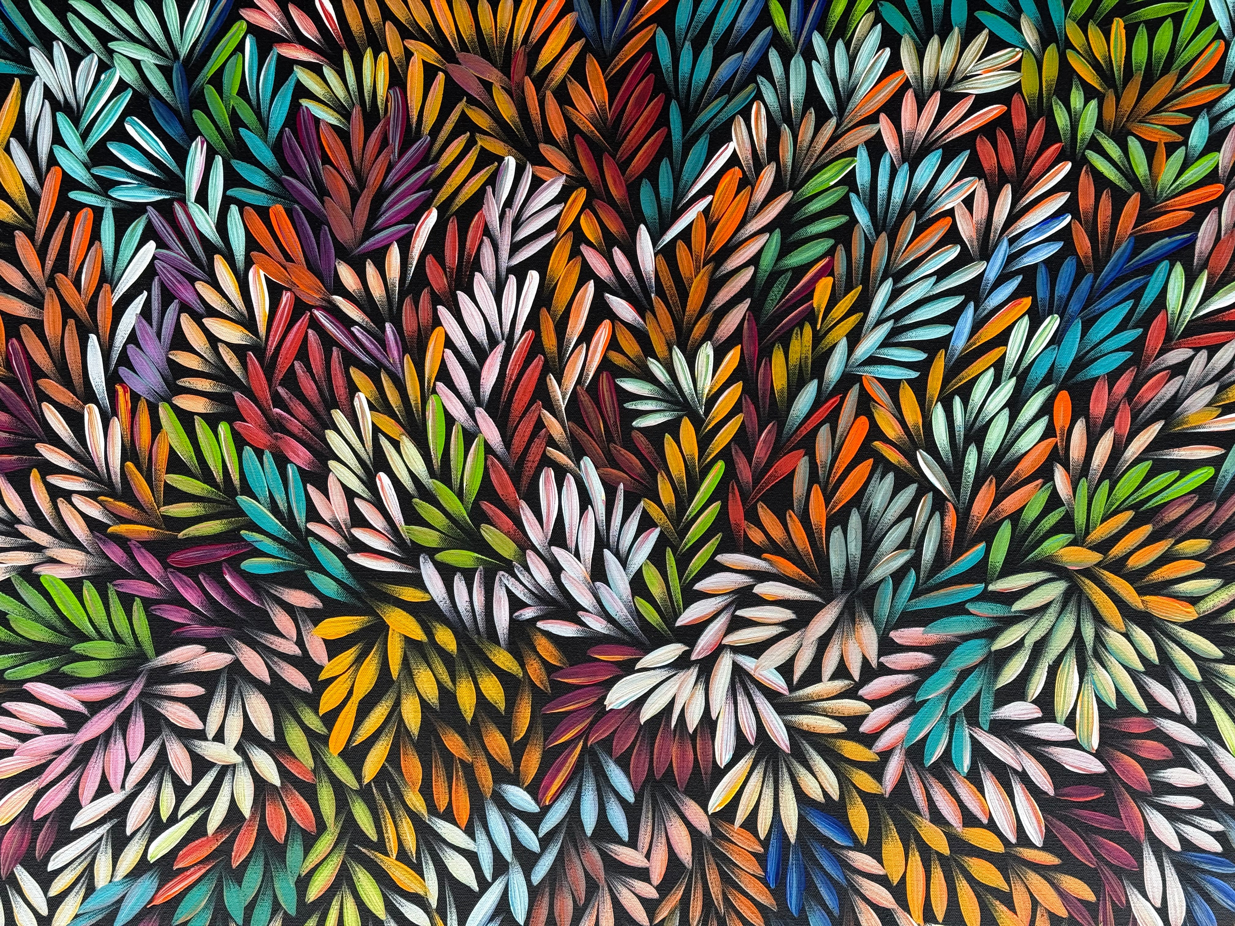 Sharon Numina - Bush Medicine Leaves .59-8