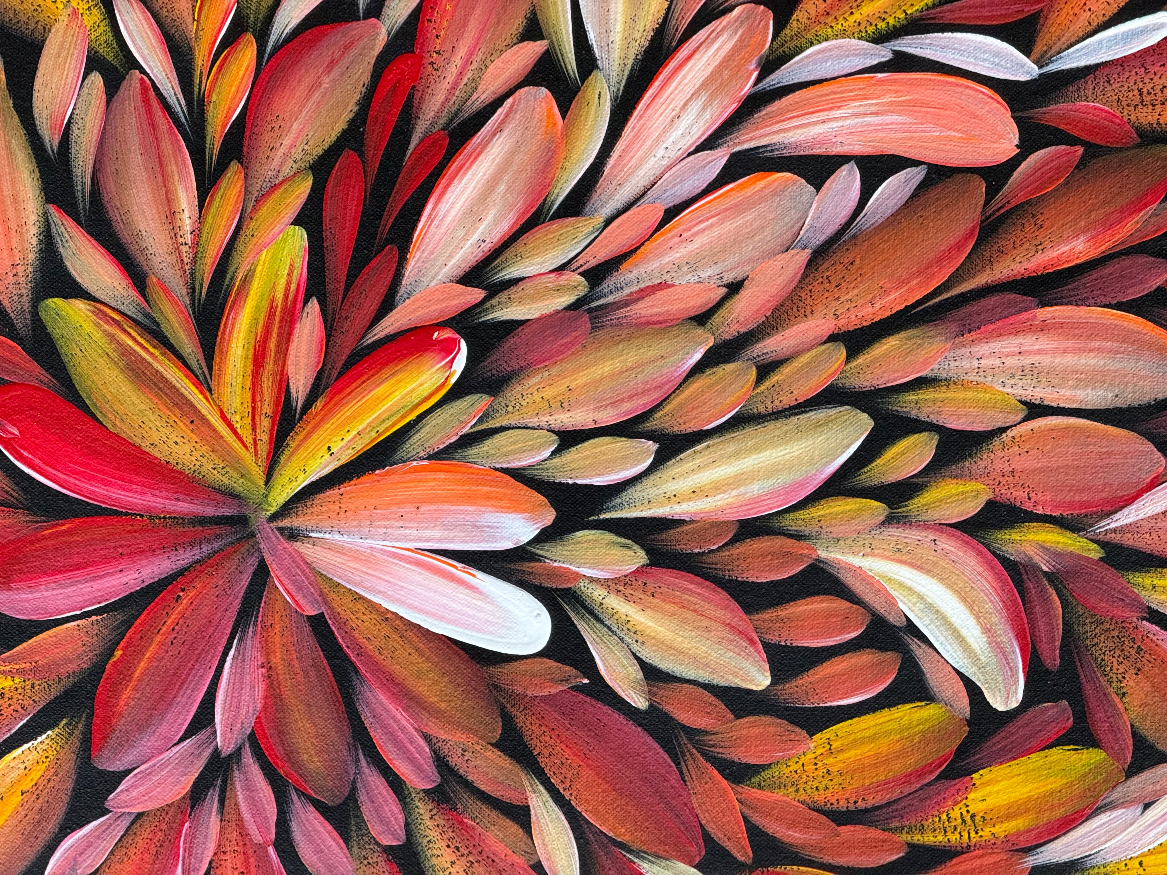 Louise Numina Napananka - Bush Medicine Leaves .16-62