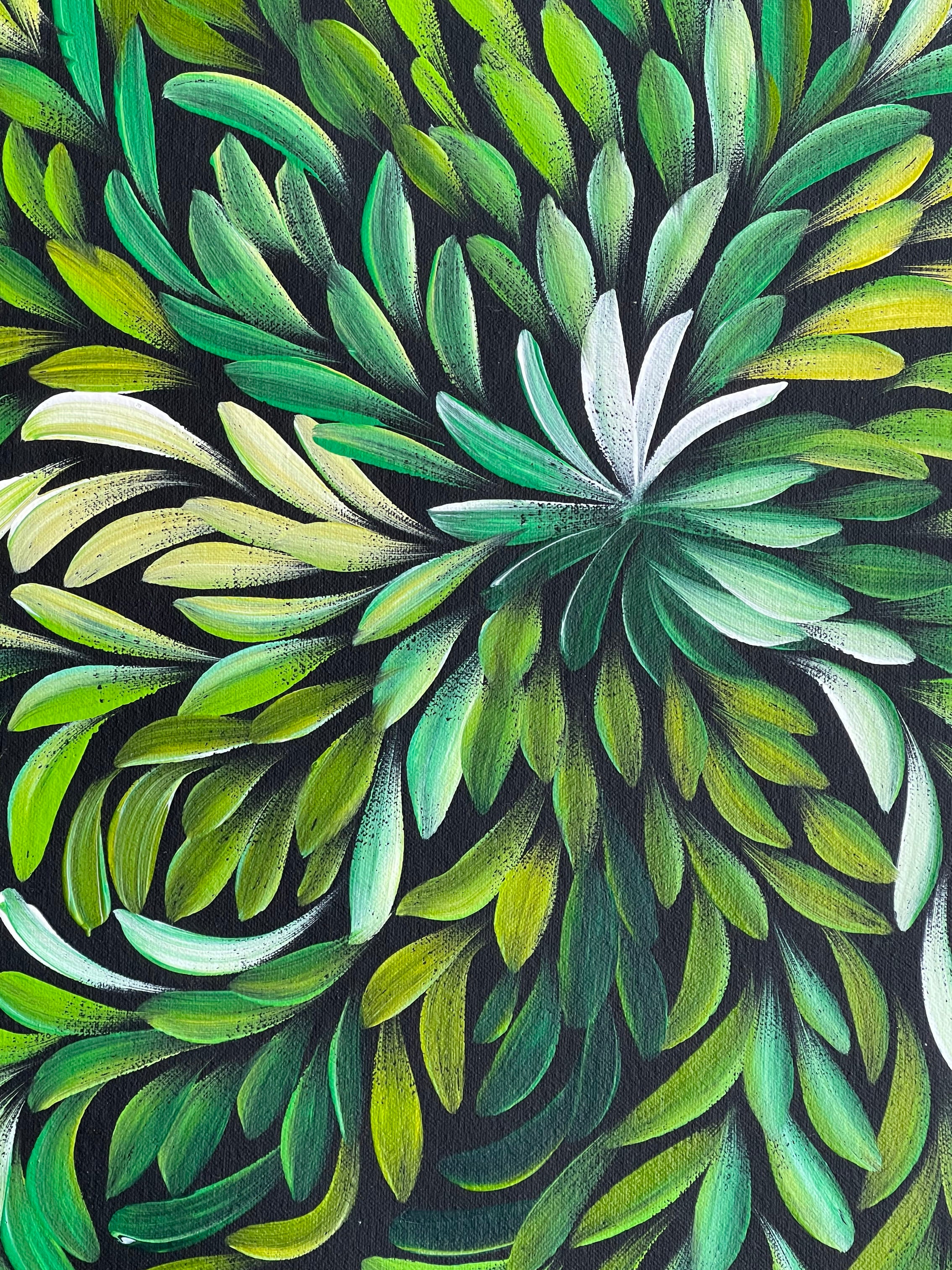 Louise Numina Napananka - Bush Medicine Leaves - 59x60cm .71-18