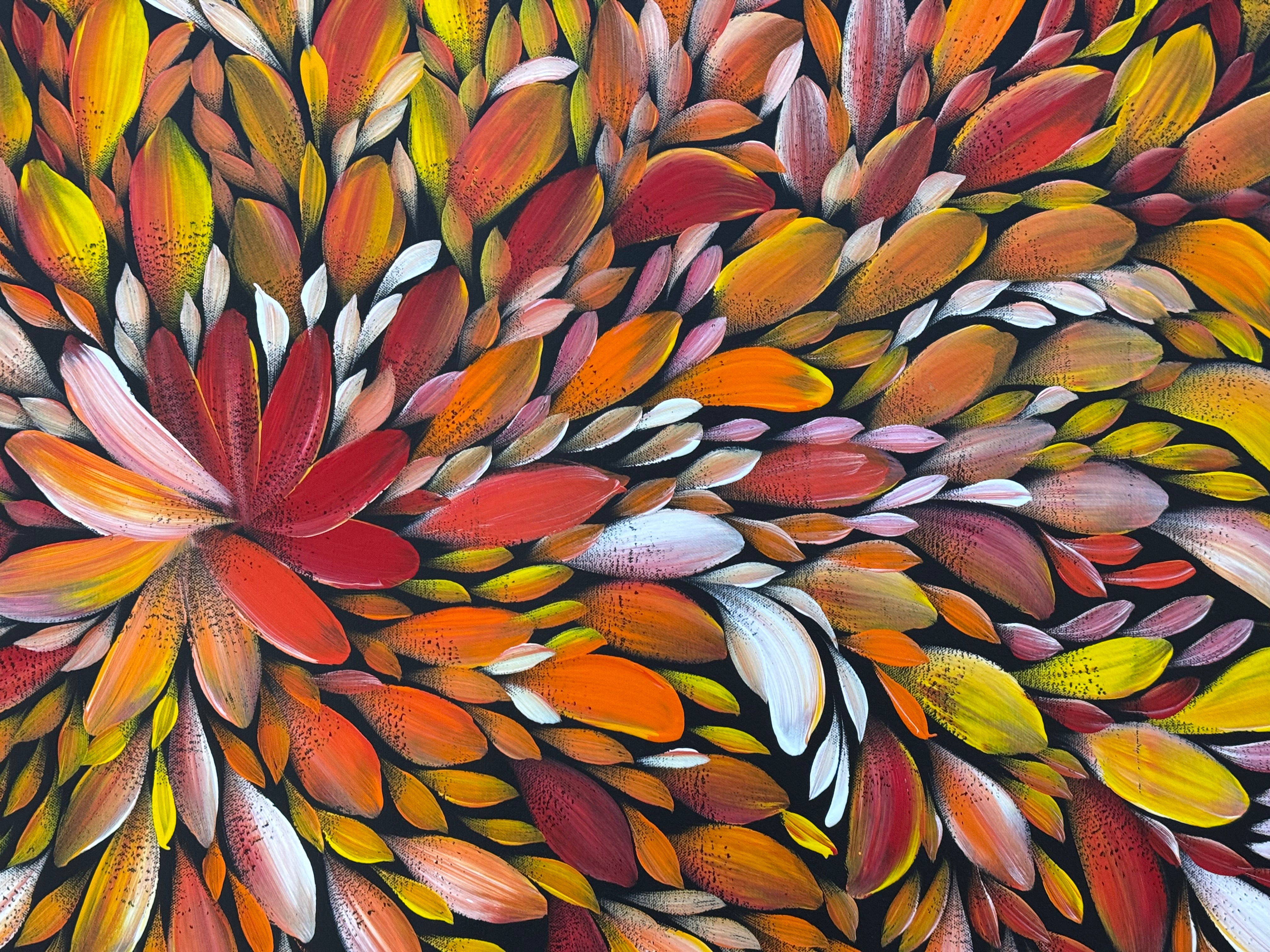 Louise Numina Napananka - Bush Medicine Leaves .21-13