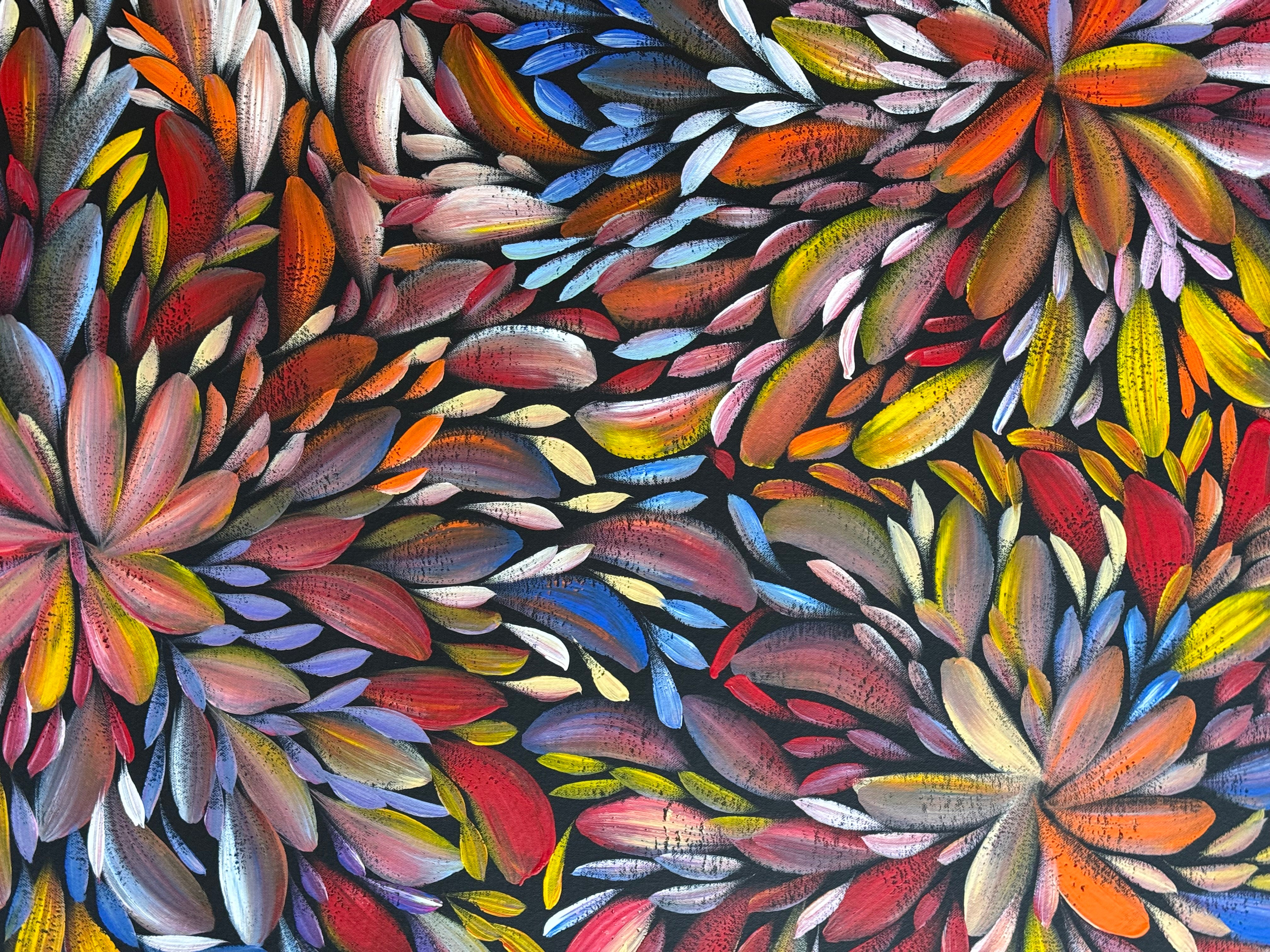Louise Numina Napananka - Bush Medicine Leaves .29-3
