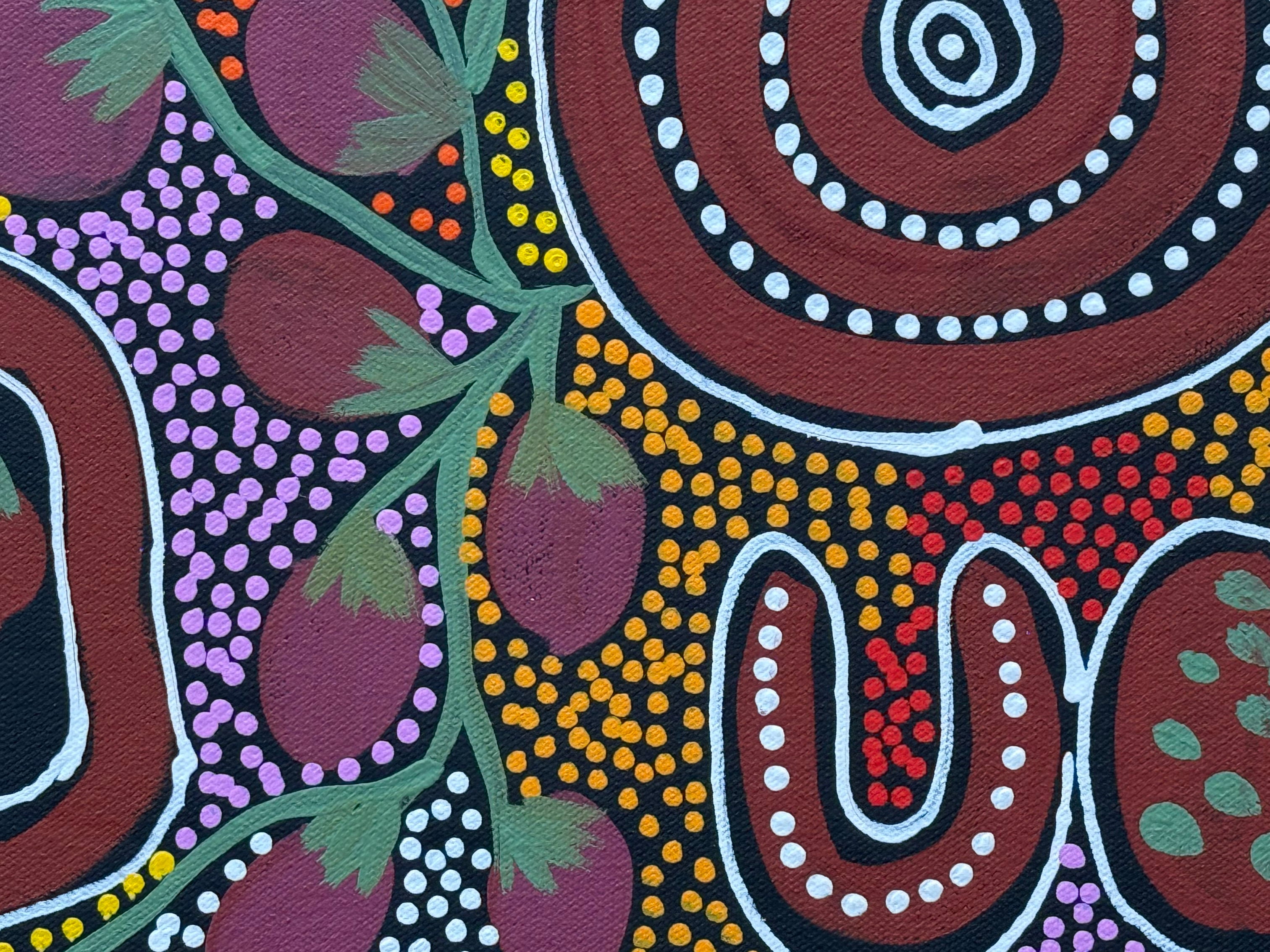Louise Numina Napananka - Bush Tucker .20-2