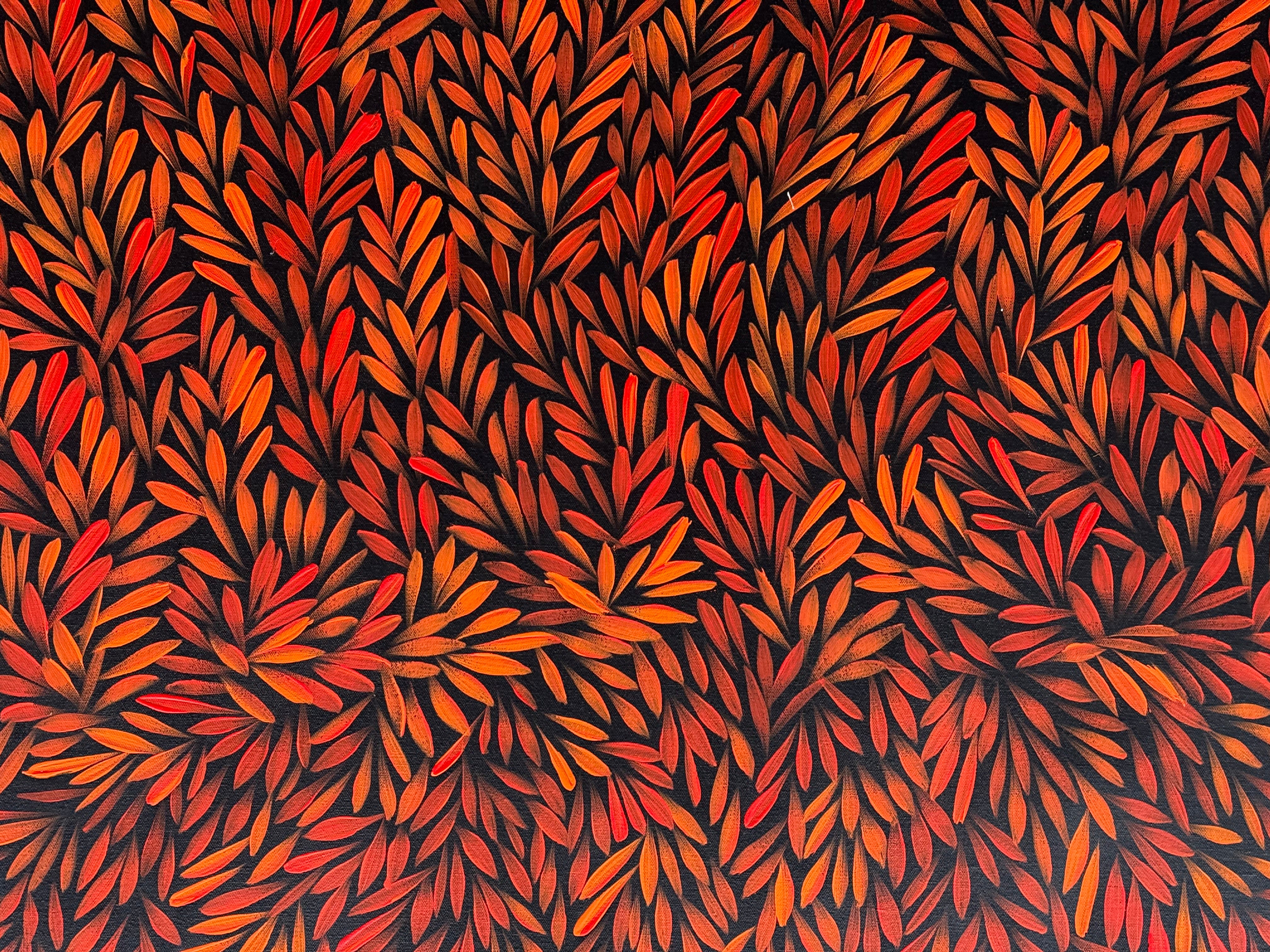 Sharon Numina - Bush Medicine Leaves .68-9