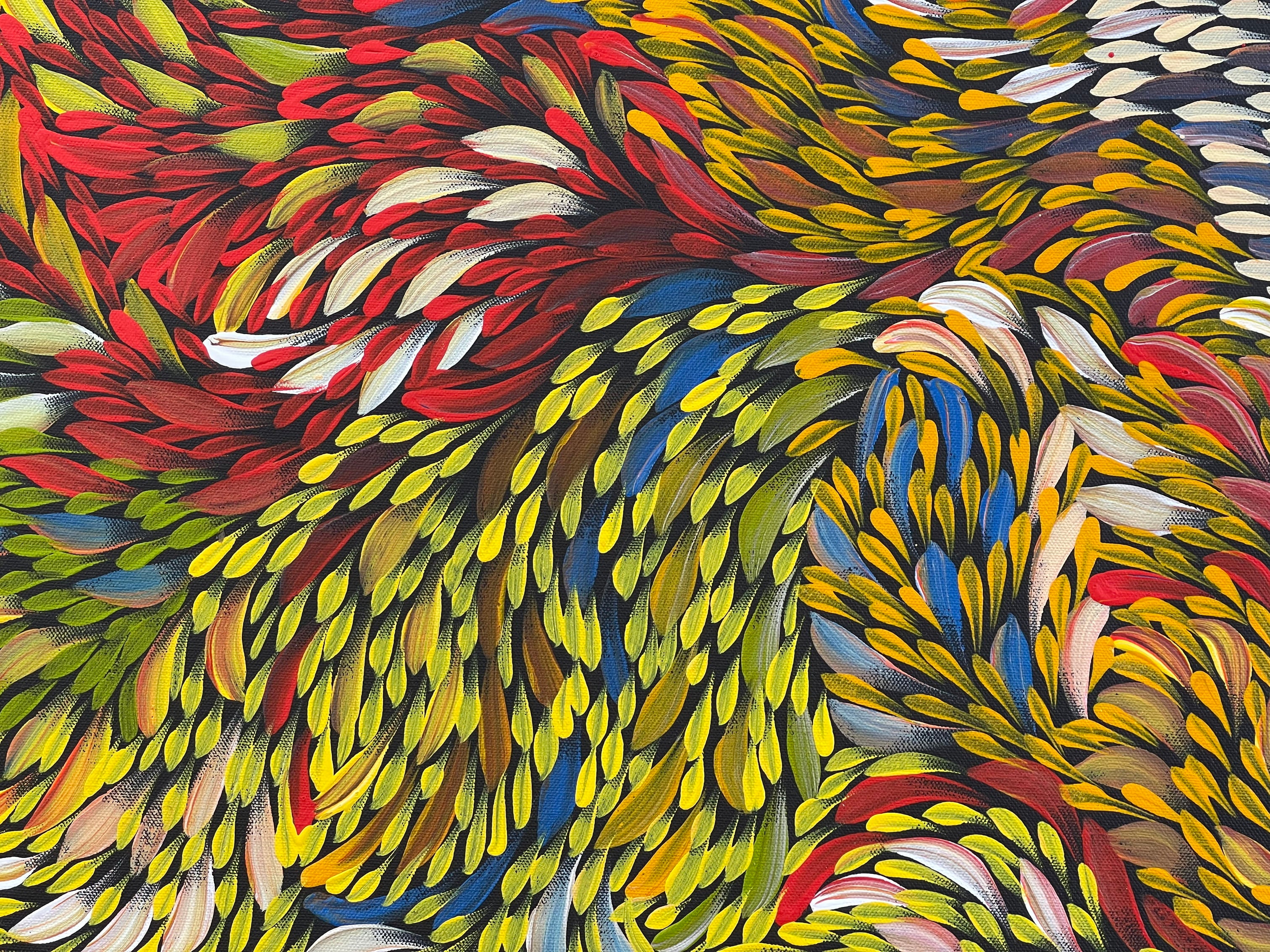 Caroline Numina - Bush Medicine Leaves - 70x144cm .31-12