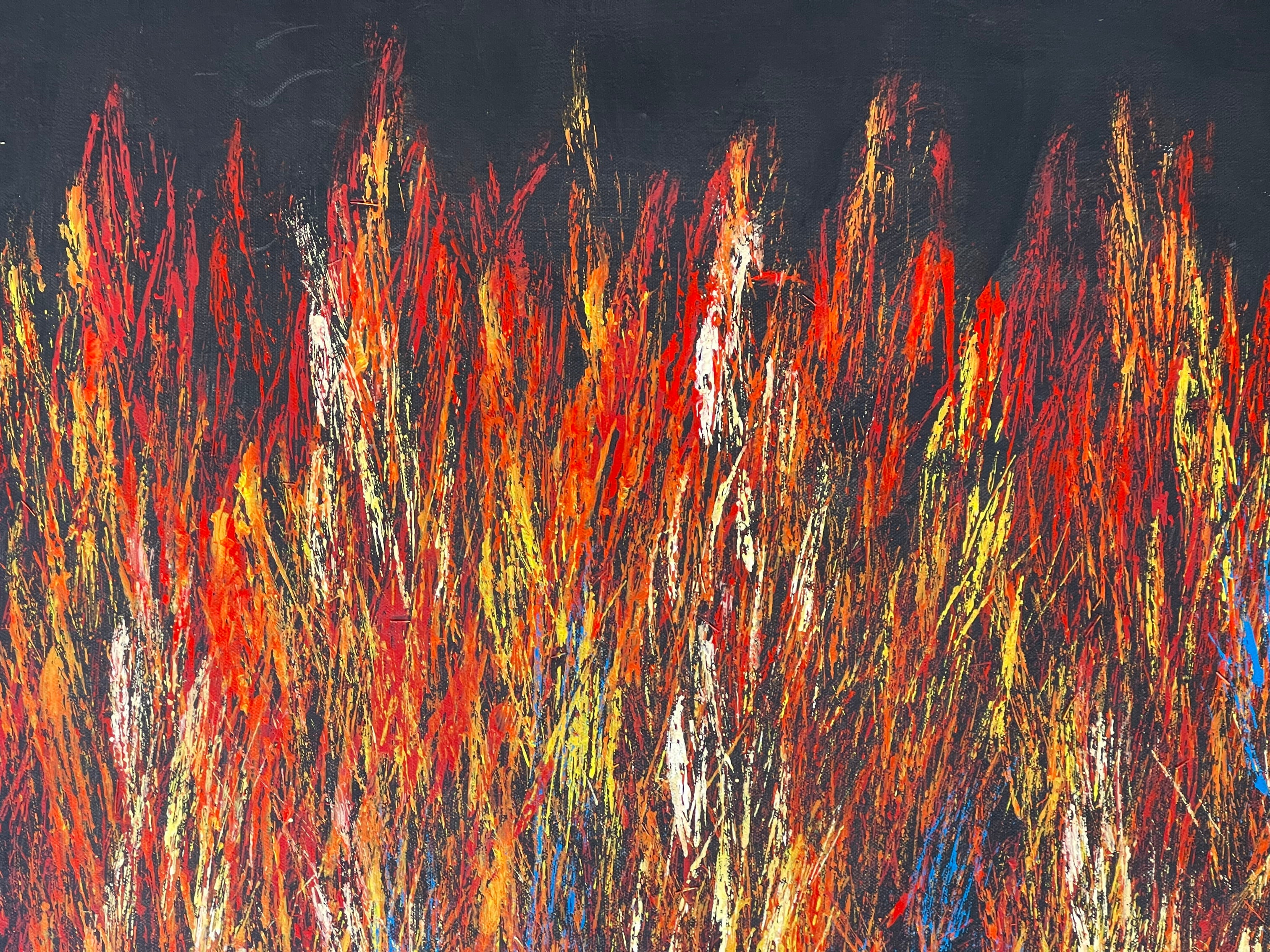 Reggie Sultan - 91x70cm - Bushfire Dreaming .55-4