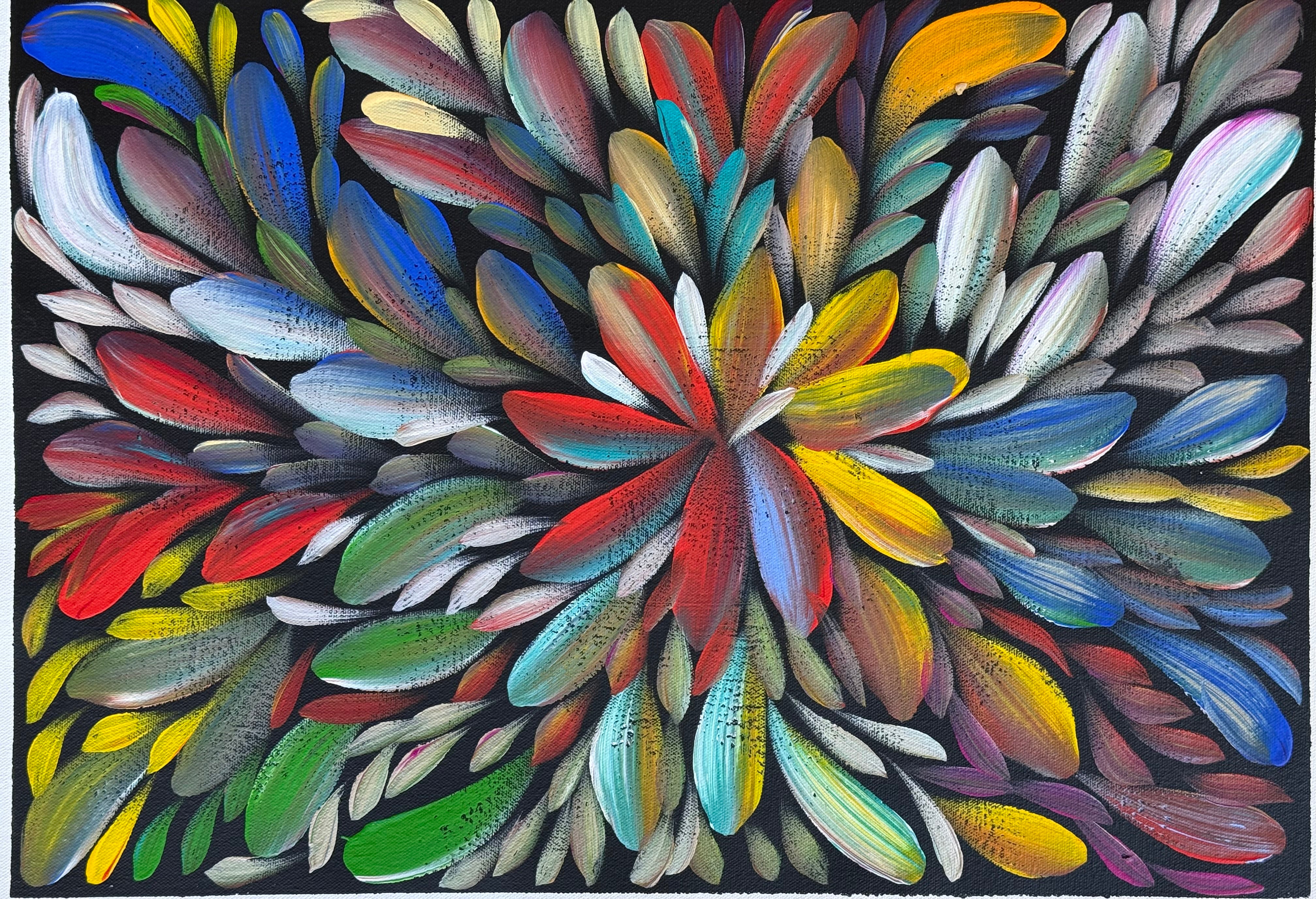 Louise Numina Napananka - Bush Medicine Leaves .57-6