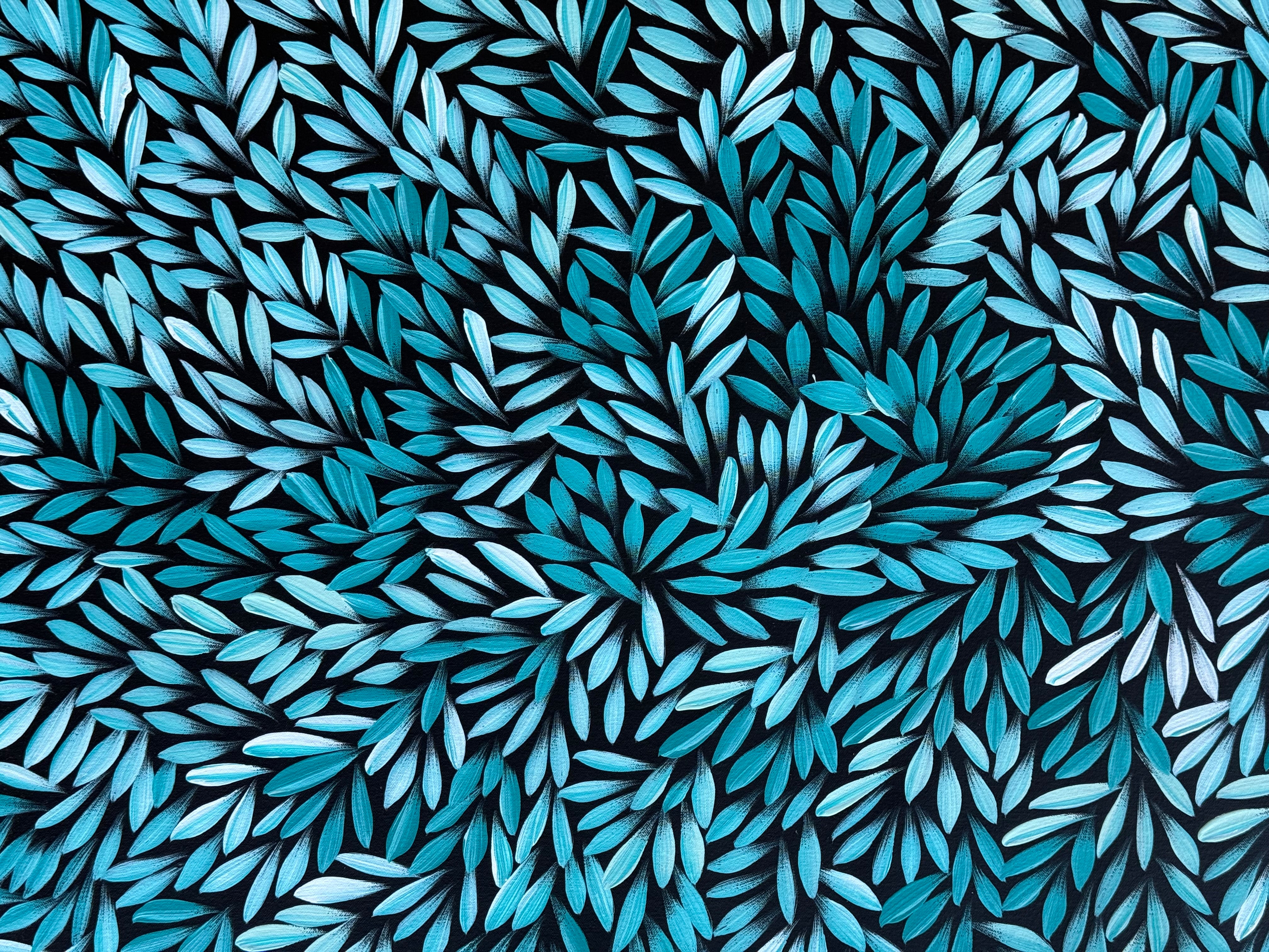 Sharon Numina - Bush Medicine Leaves .50-7