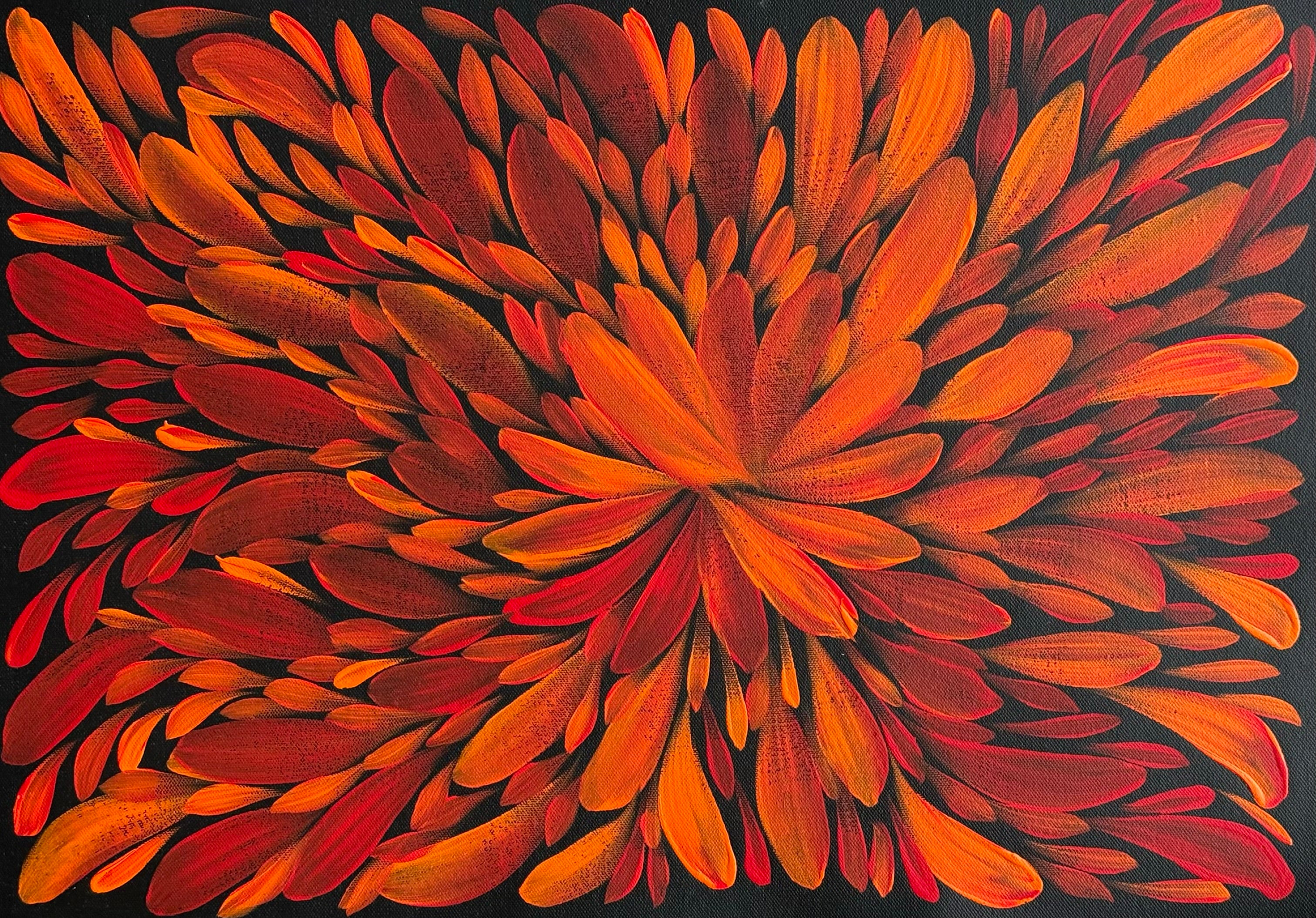 Louise Numina Napananka - Bush Medicine Leaves .60-25