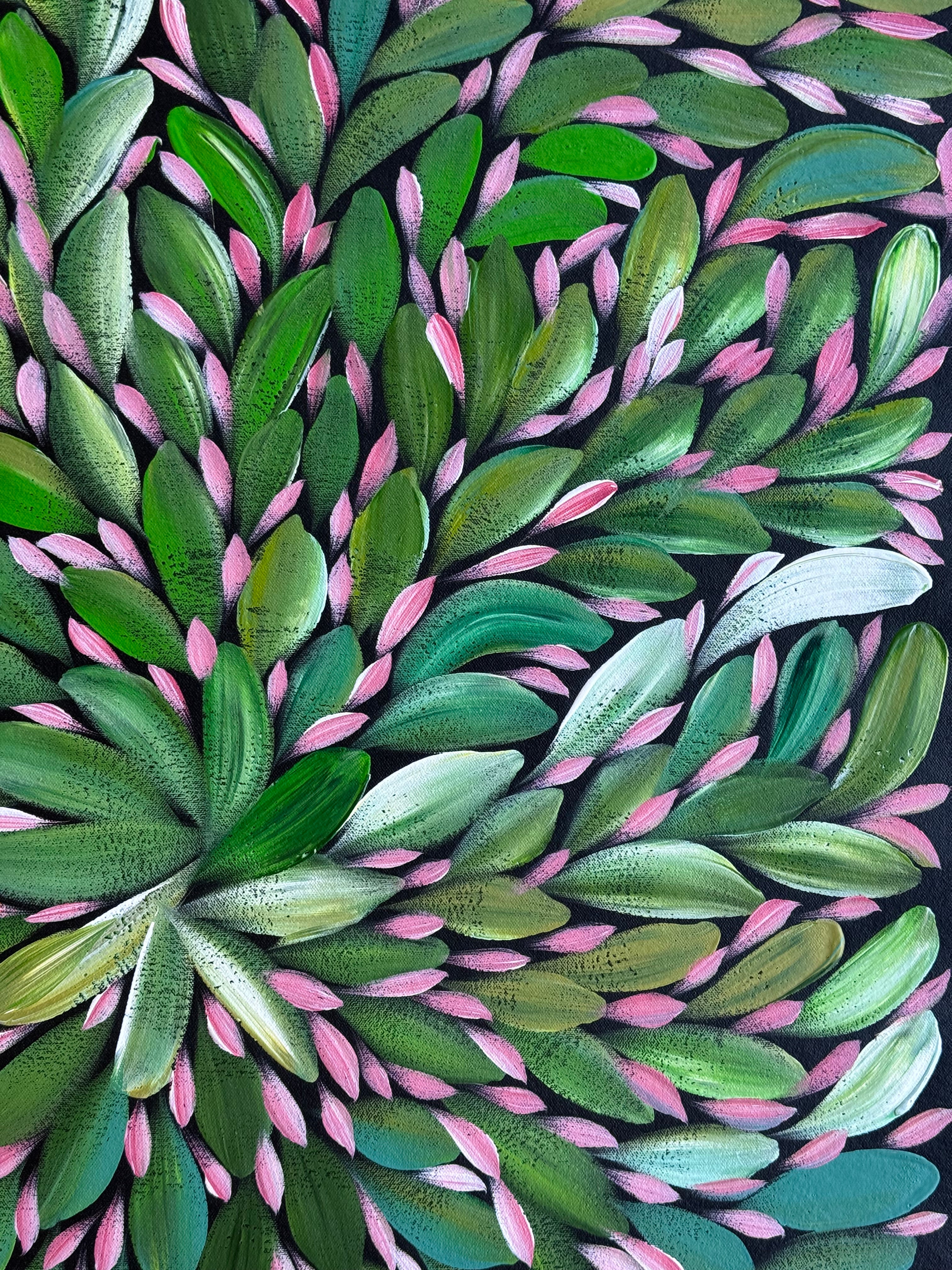 Louise Numina Napananka - Bush Medicine Leaves .22-29