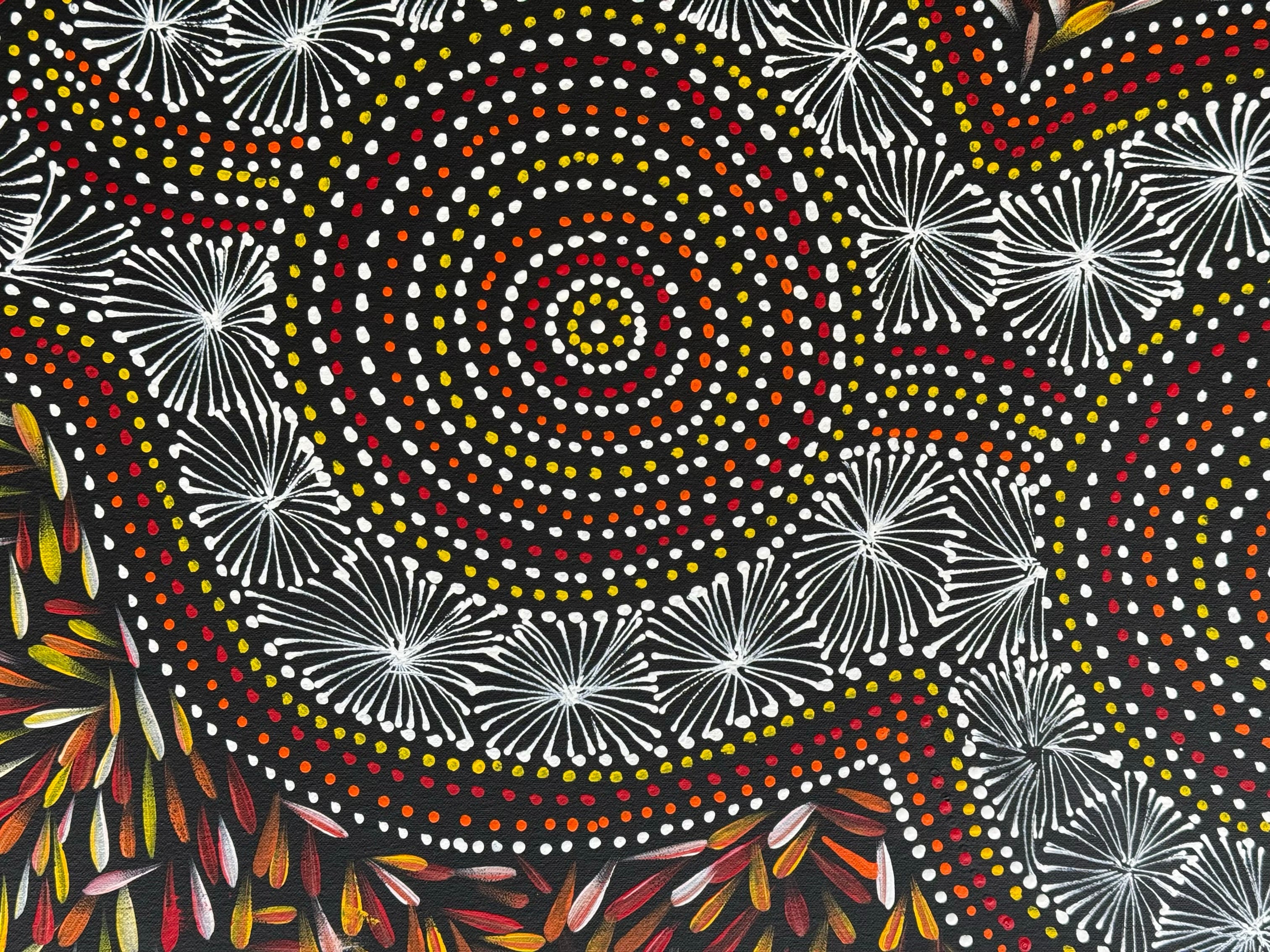 Selina Numina Kamprina - Seeds and Waterholes .44-4